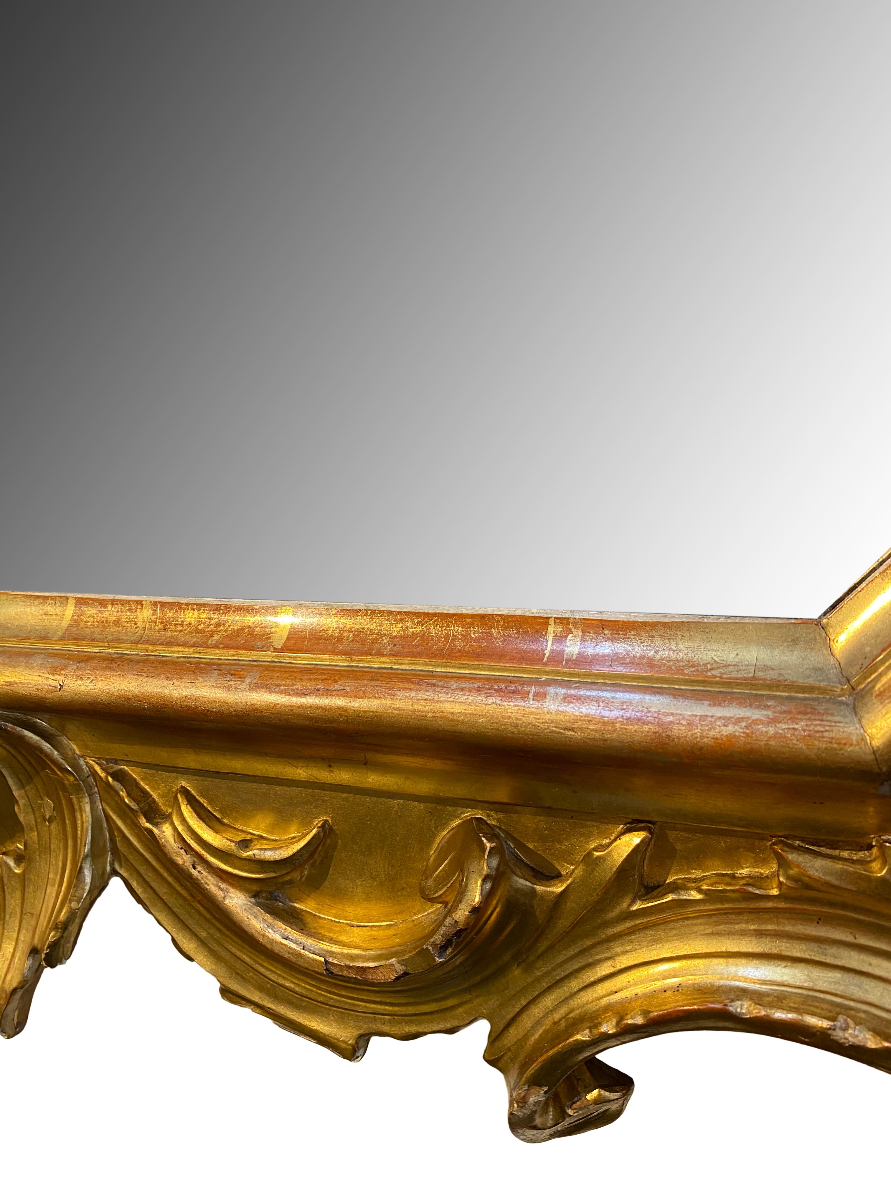 19th Century Baroque Style Carved Gold Gilt Mirror Lombardo Veneto circa 1810 For Sale 4