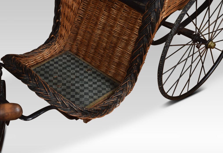 19th Century Bath Chair For Sale at 1stDibs