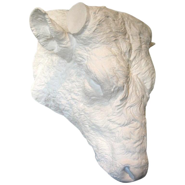 19th Century Beaux Arts Plaster Bull Head For Sale