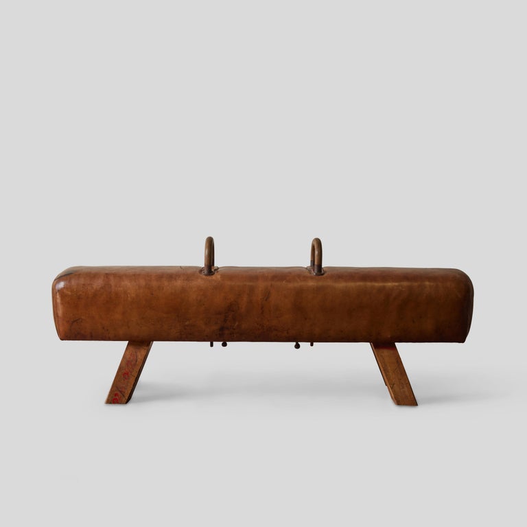 19th Century Belgian Leather Gym Horse as Bench For Sale at 1stDibs