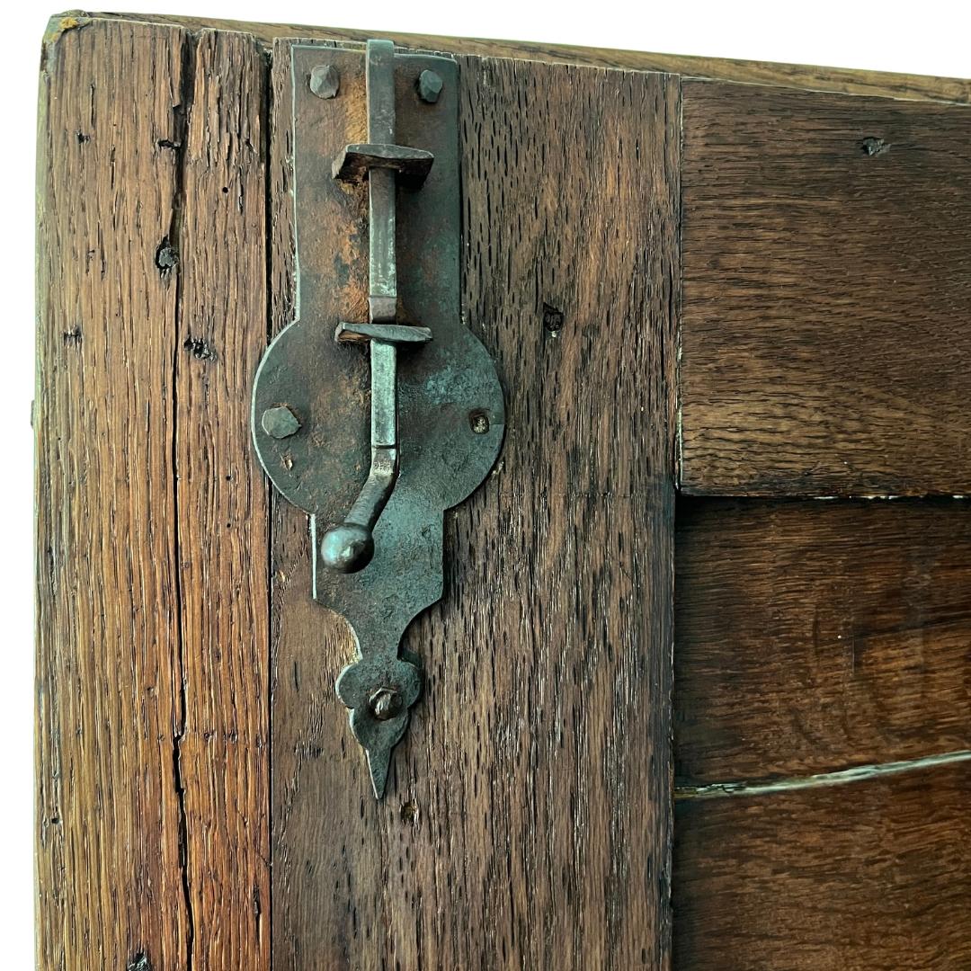 19th Century Belgian Oak Armoire Cabinet For Sale 9