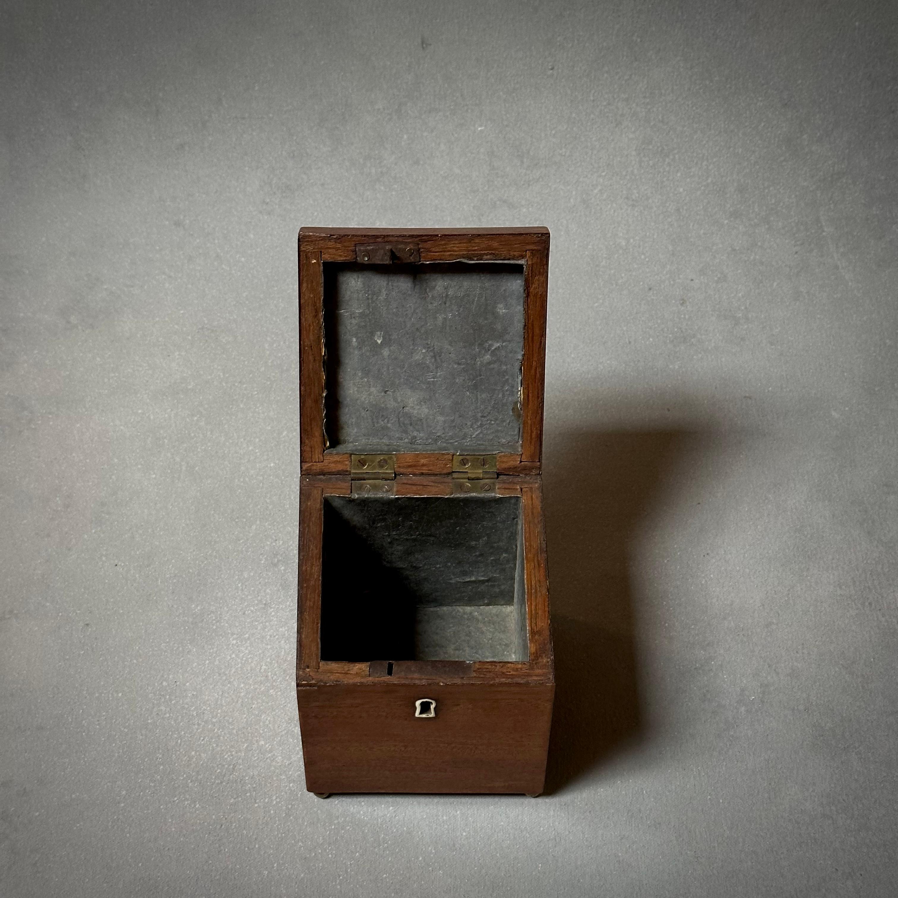 19th Century Belgian Tea Caddy Box 1