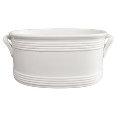 19th Century Belgian White Ironstone Foot Bath Jardiniere Centerpiece