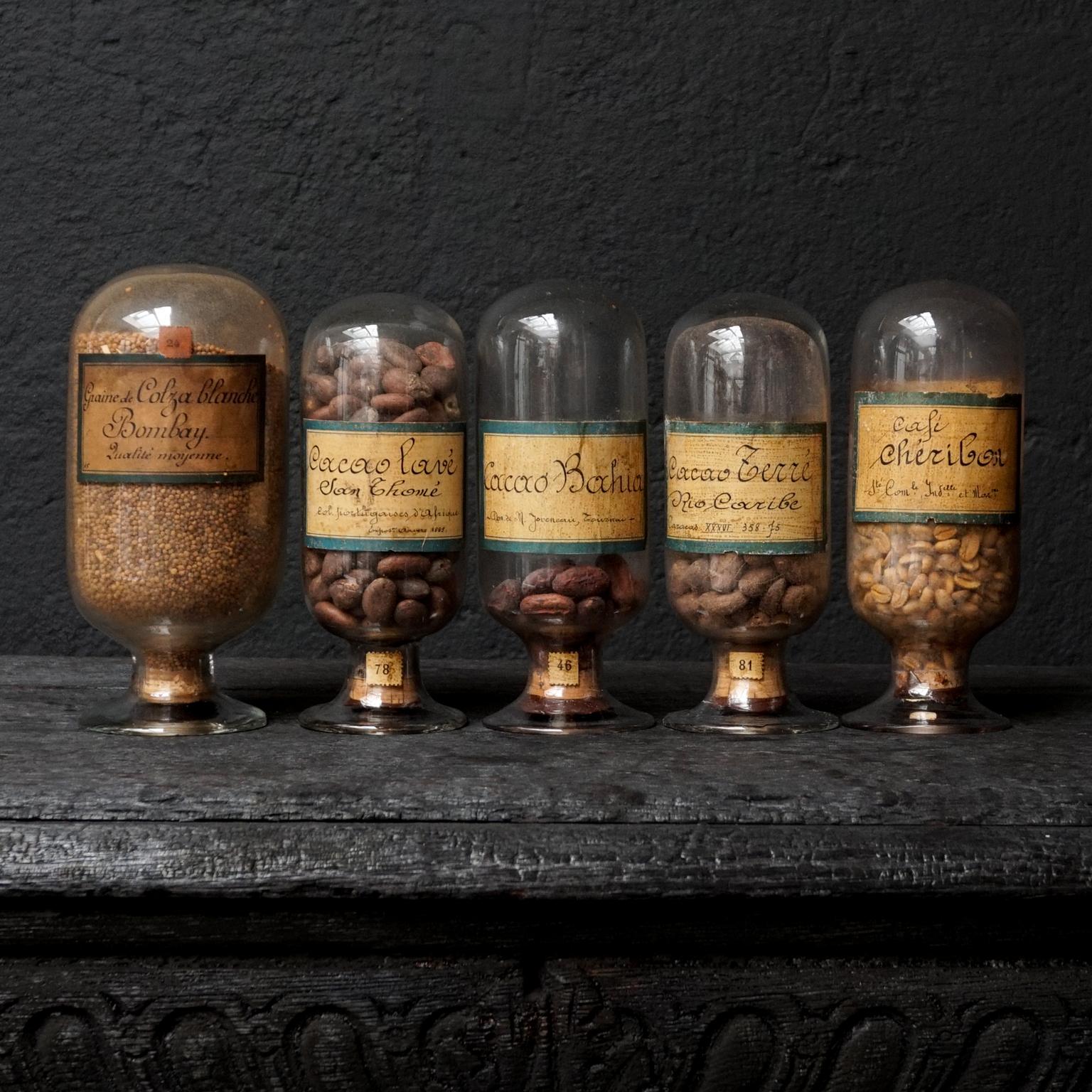 19th Century Belgium Glass Samples of Colonial Plantation Resources For ...