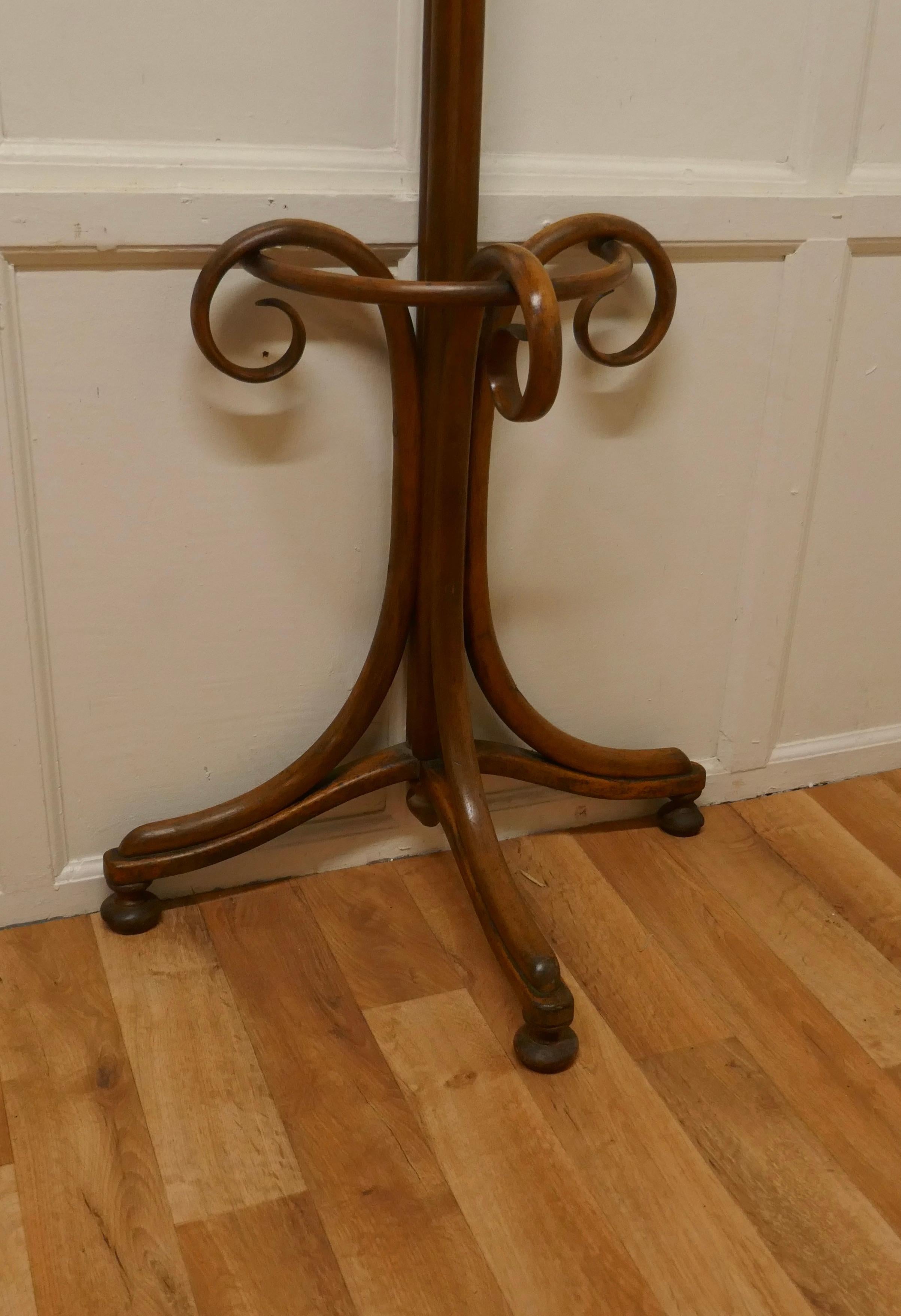 19th Century Bentwood Flat Back Hall Stand In Good Condition For Sale In Chillerton, Isle of Wight
