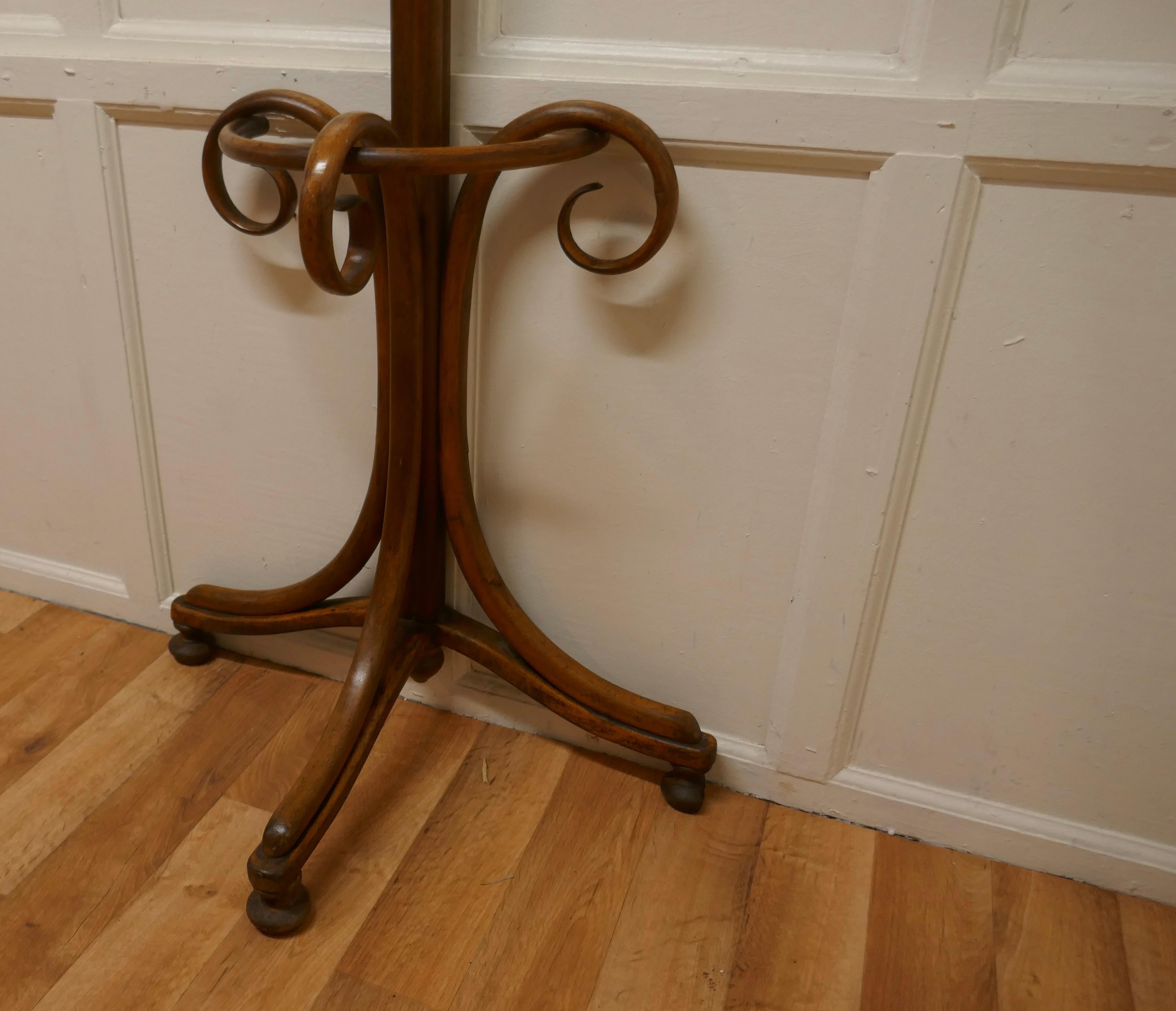 19th Century Bentwood Flat Back Hall Stand For Sale 2