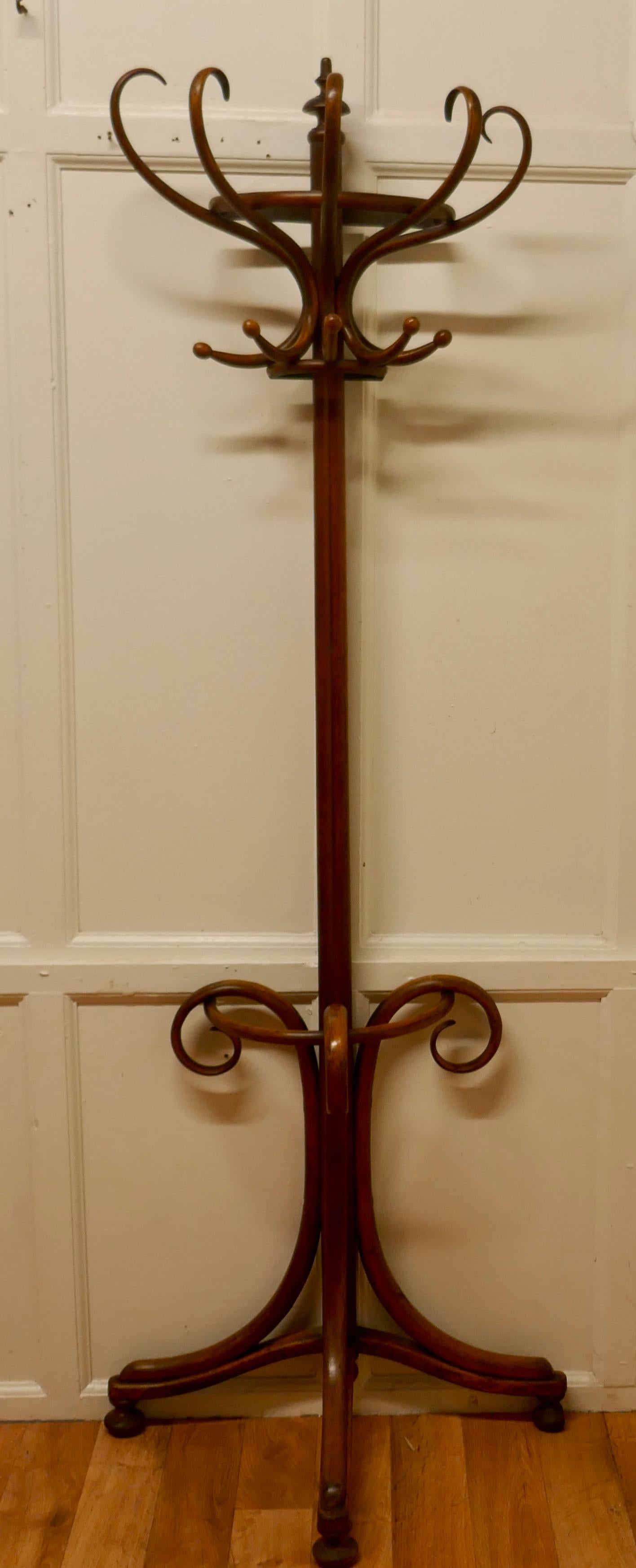 19th Century Bentwood Flat Back Hall Stand For Sale 3