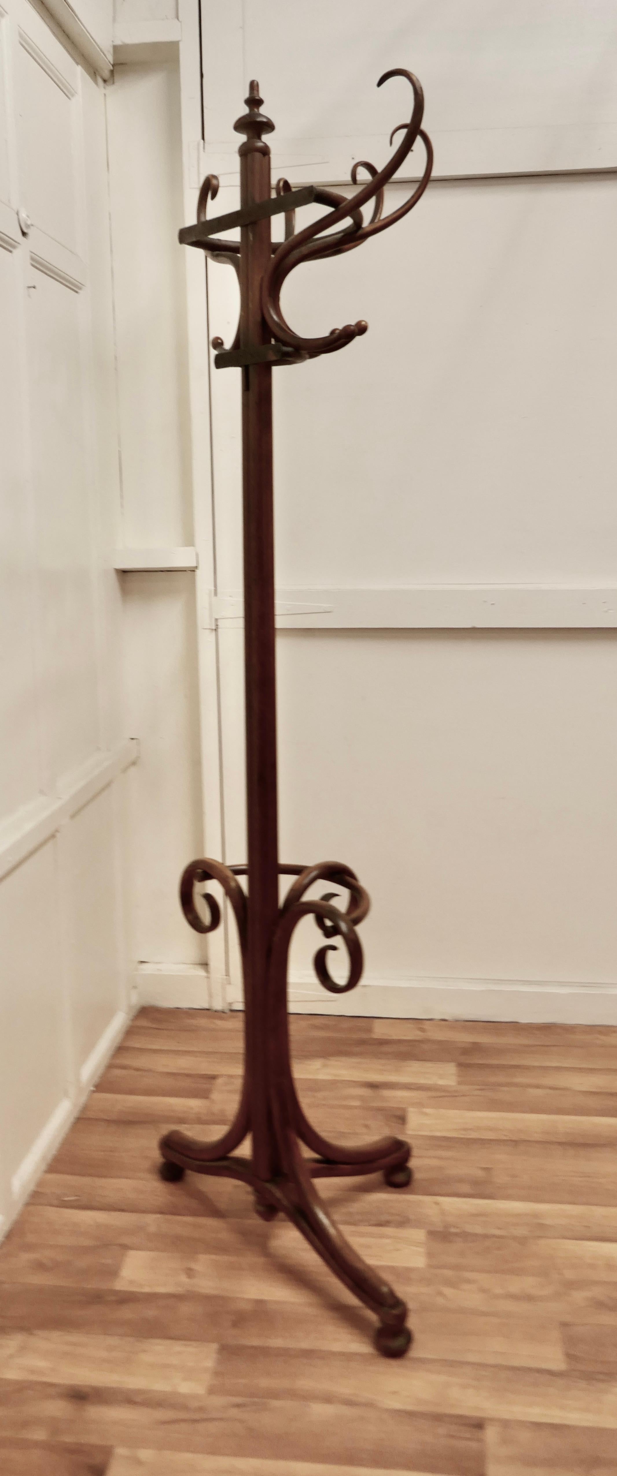 19th Century Bentwood Flat Back Hall Stand For Sale 4
