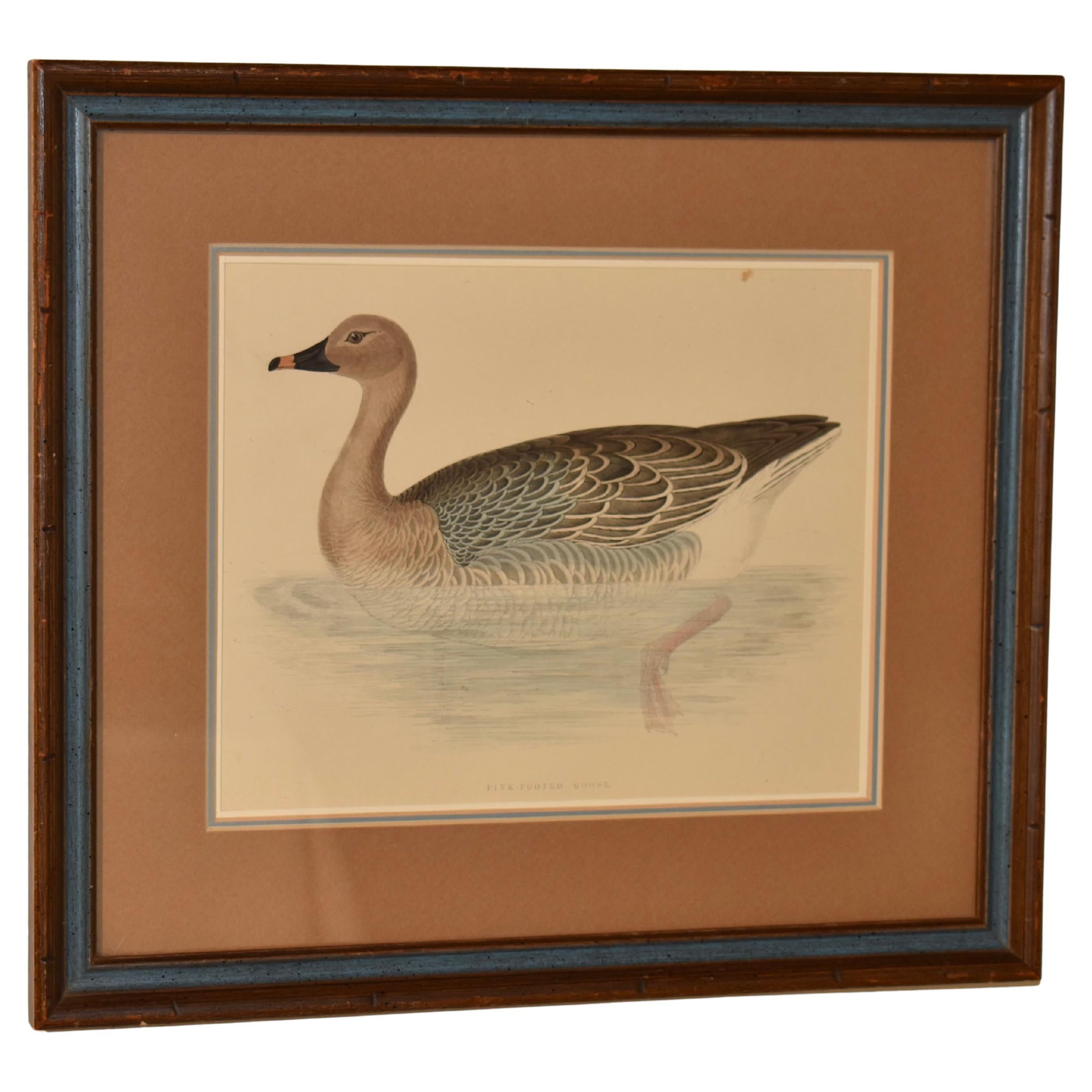 19th Century Beverley Morris Engraving