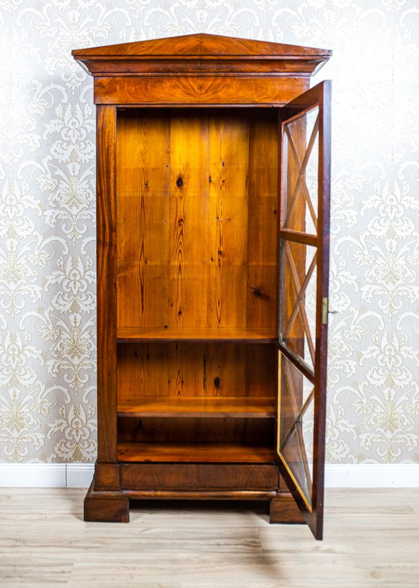 Veneer 19th Century Biedermeier Bookcase