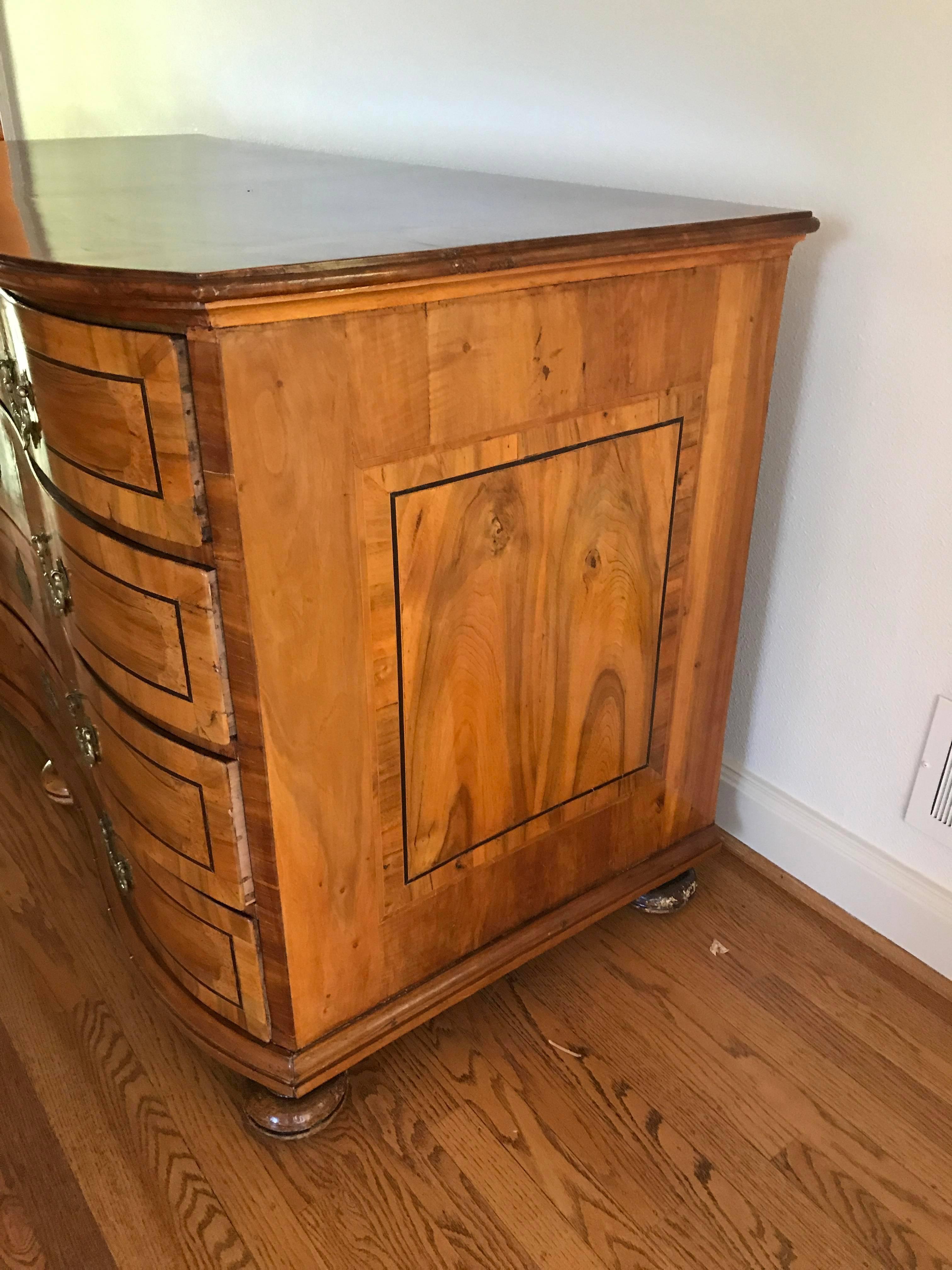 19th Century Biedermeier Burl Chest of Drawers 5