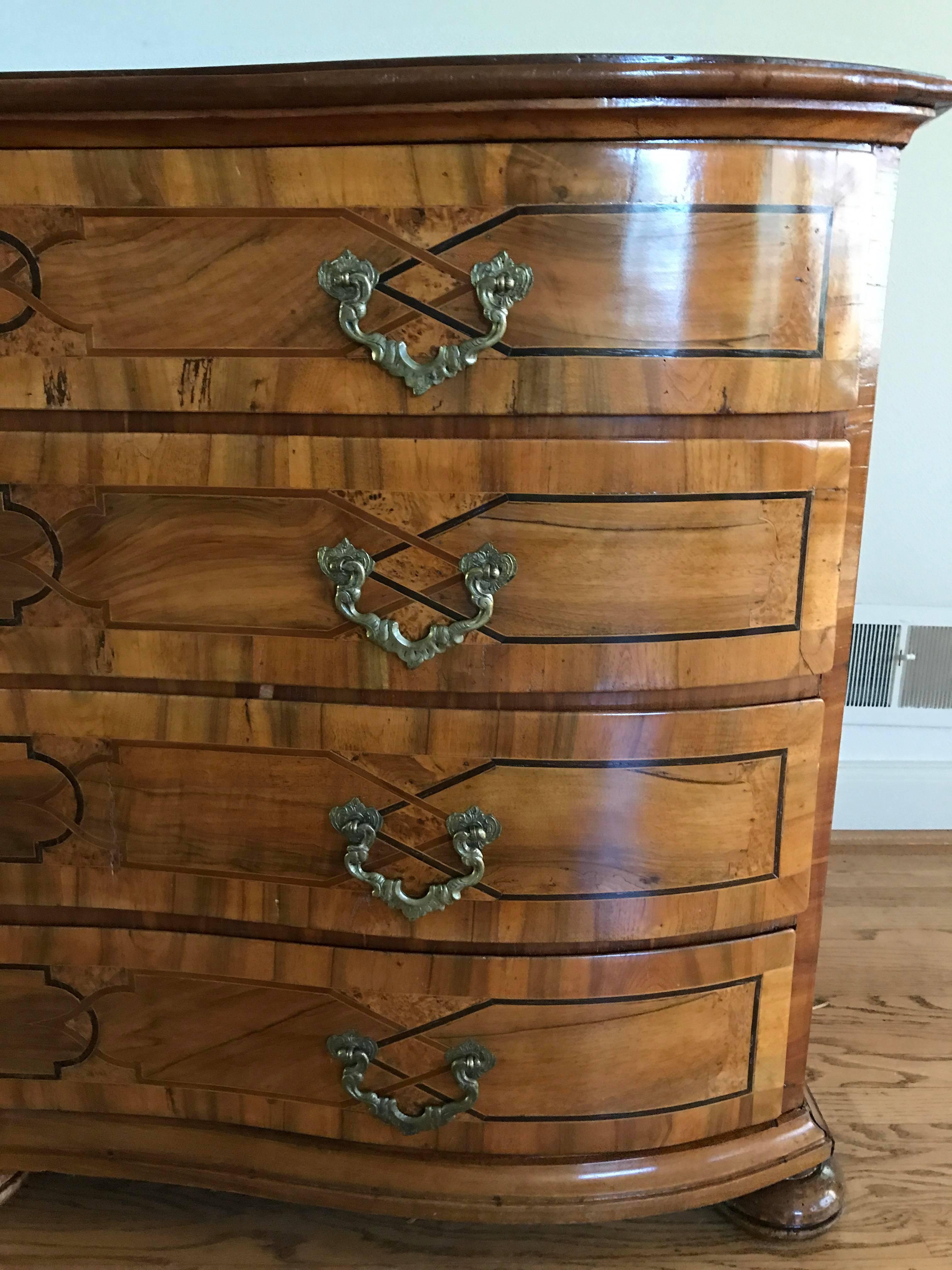 19th Century Biedermeier Burl Chest of Drawers 3