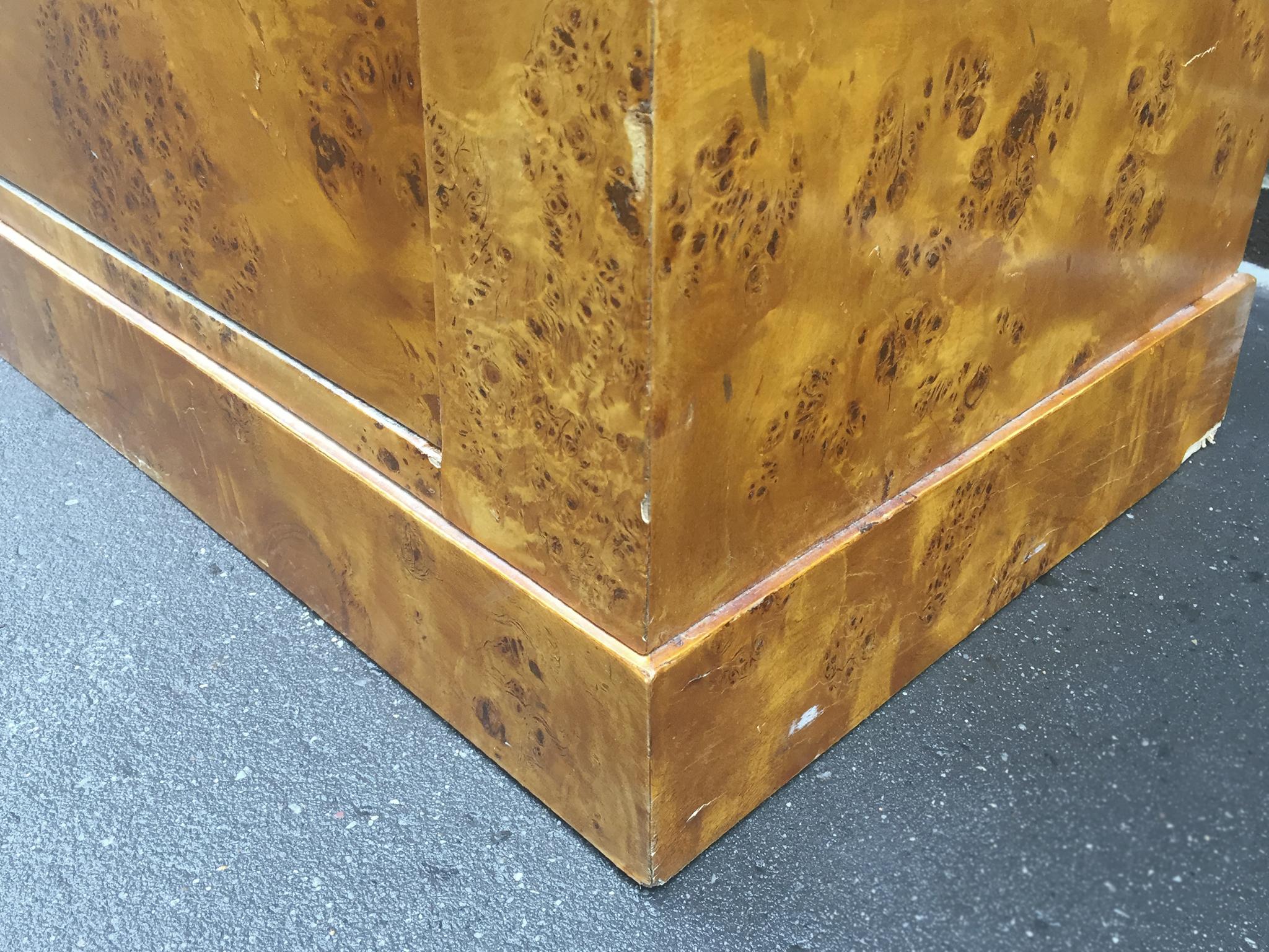 19th Century Biedermeier Burl Chest of Drawers or Commode 14
