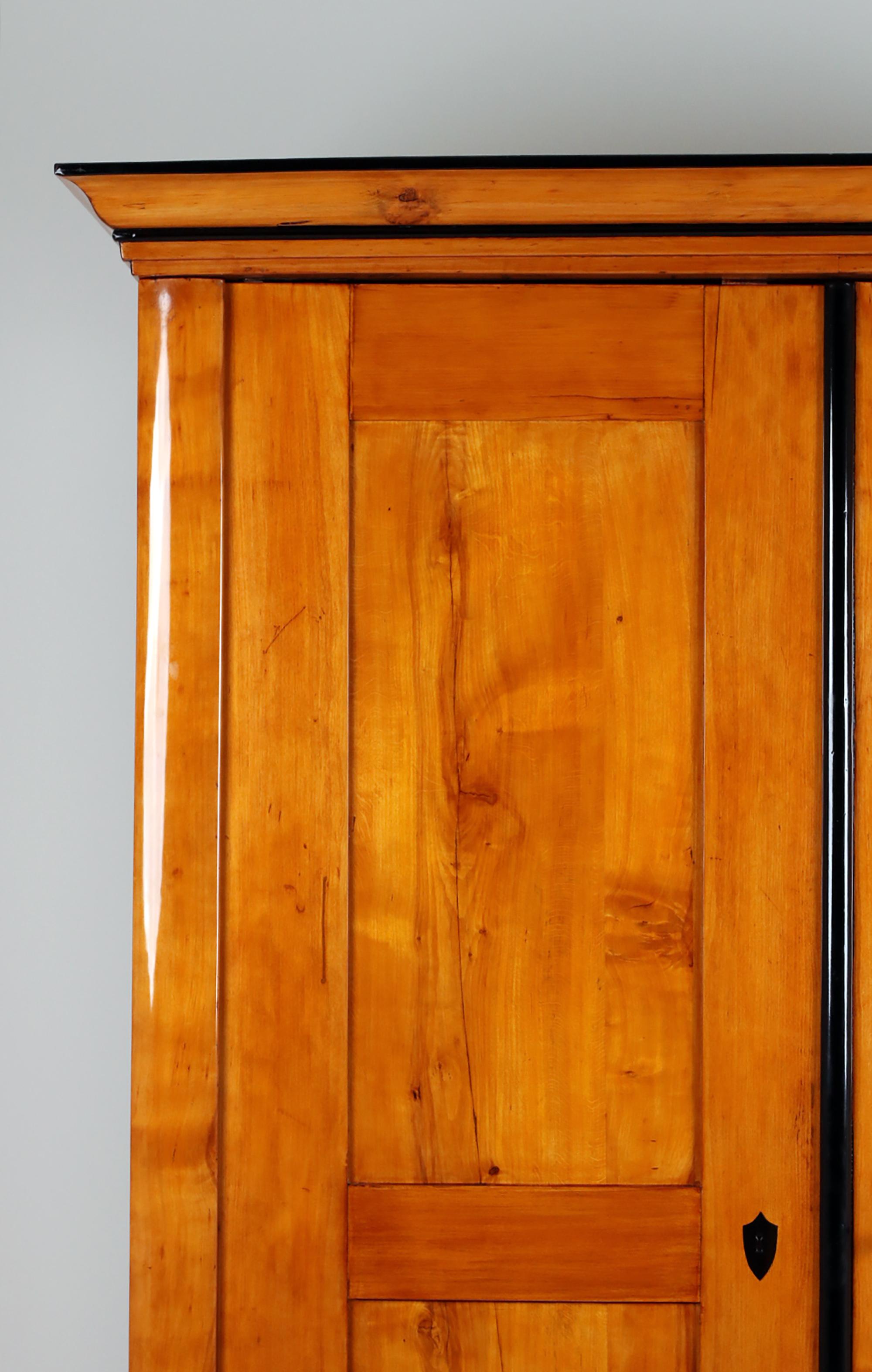 19th Century Biedermeier Cabinet For Sale 7