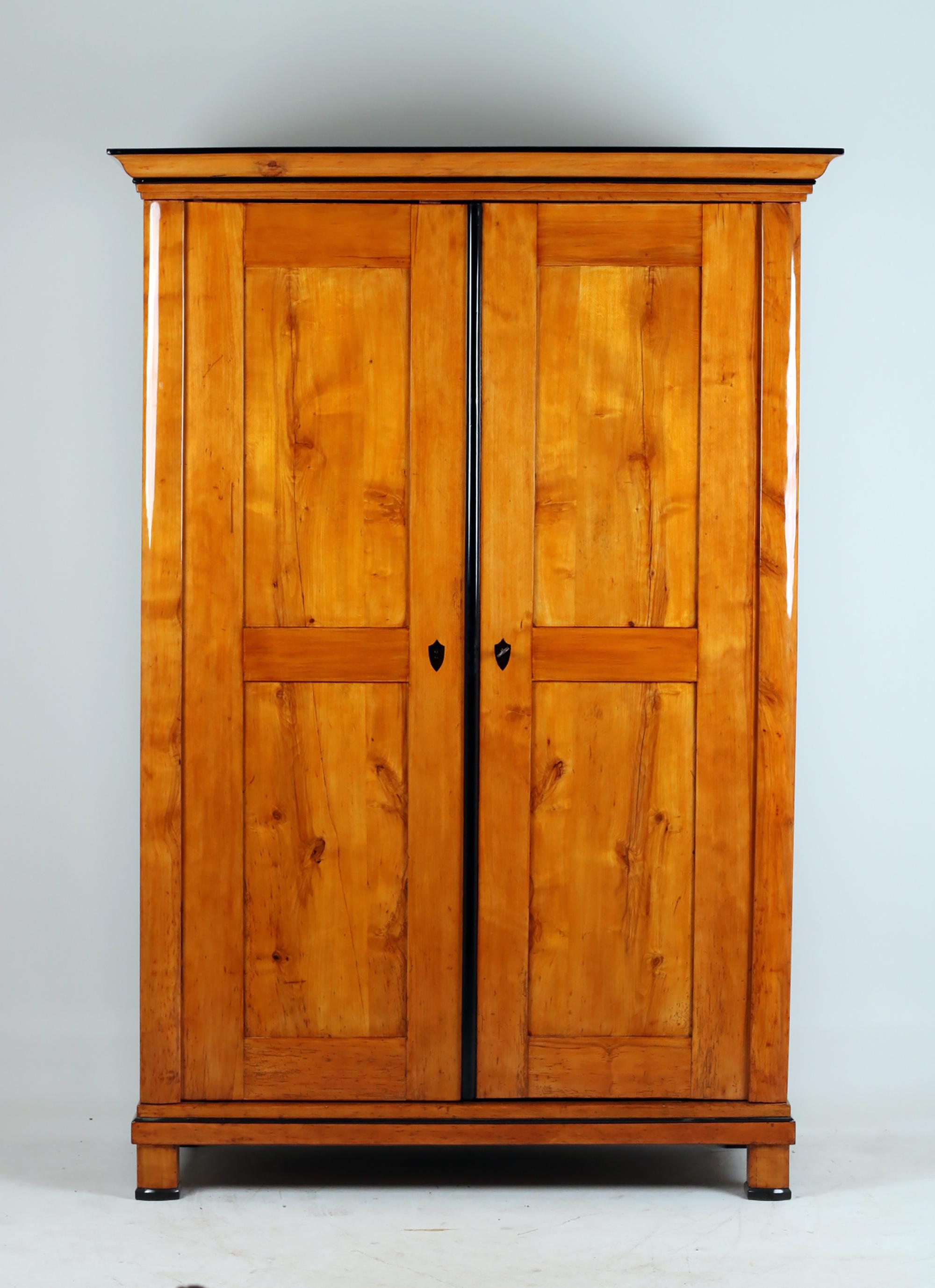 19th Century Biedermeier Cabinet For Sale 8