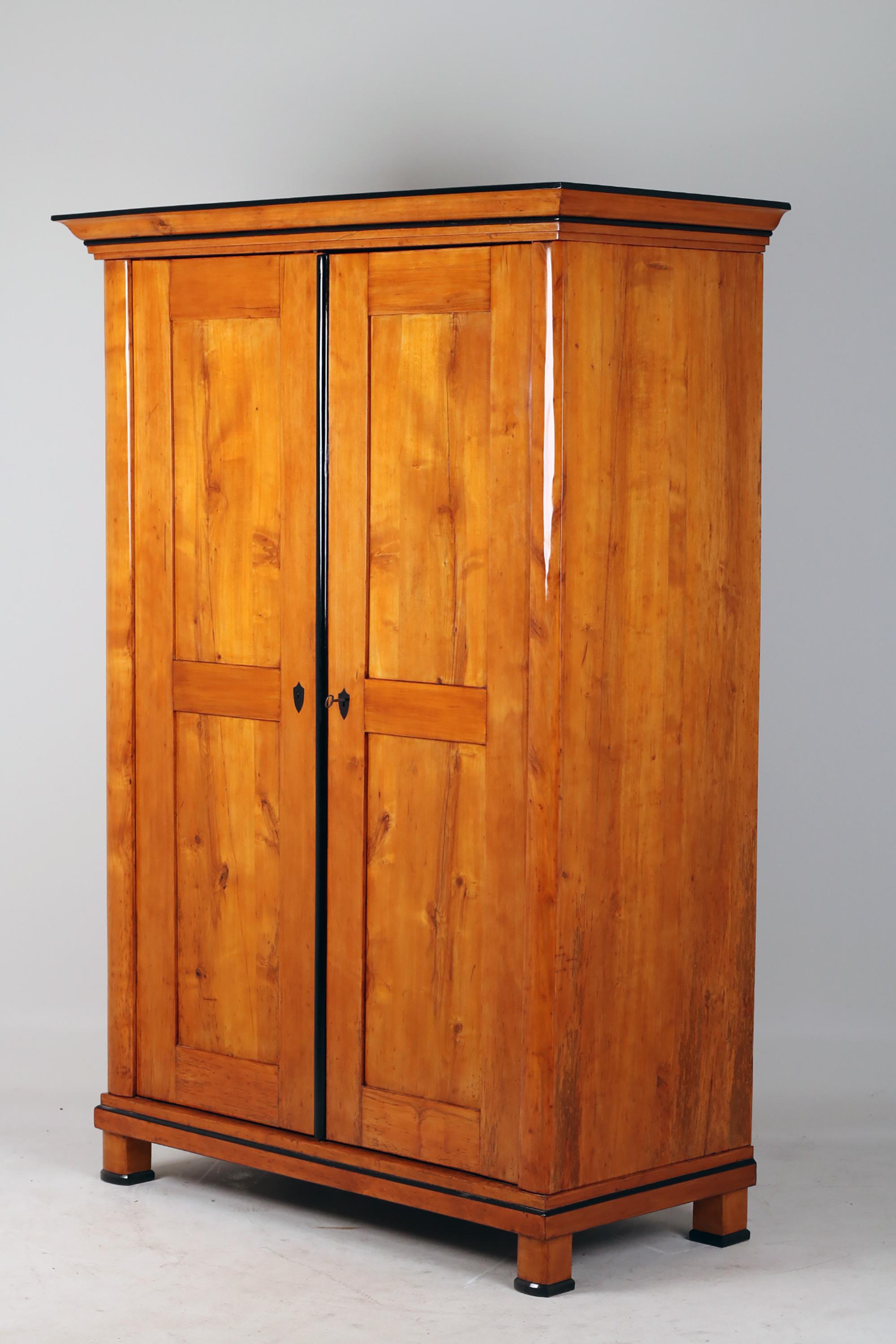 Austrian 19th Century Biedermeier Cabinet For Sale