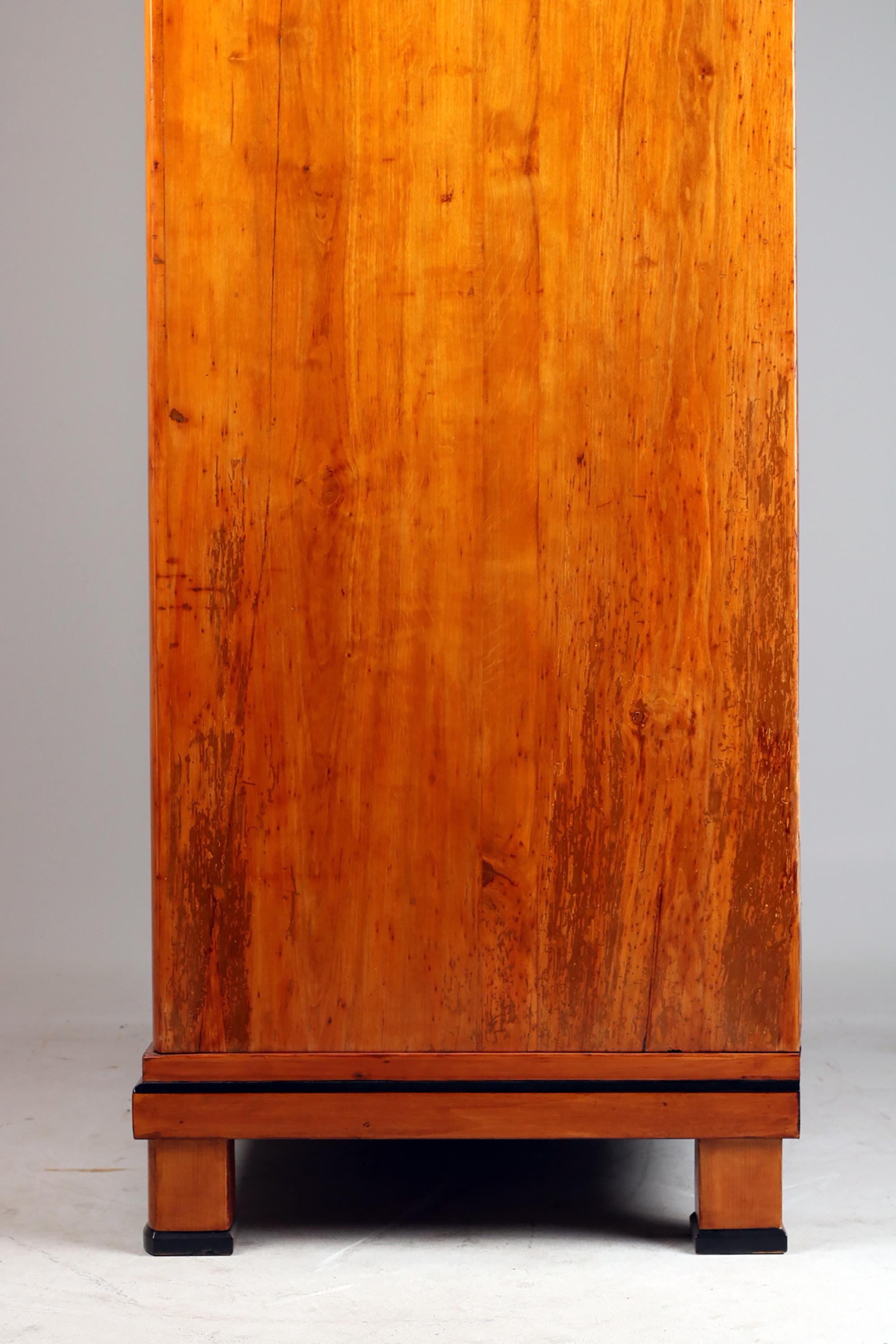 Polished 19th Century Biedermeier Cabinet For Sale