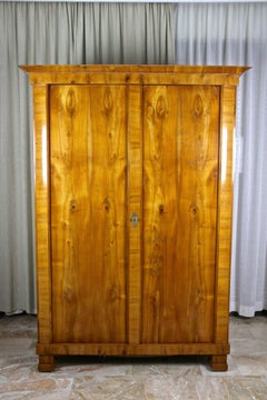 19th Century Biedermeier Cherrywood Cabinet, Austria circa 1825