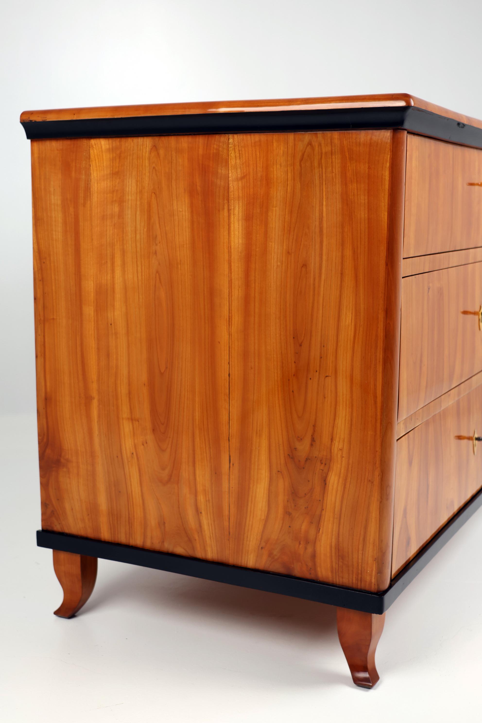 Cassettiera Biedermeier del XIX secolo, legno di Wood. in vendita 3