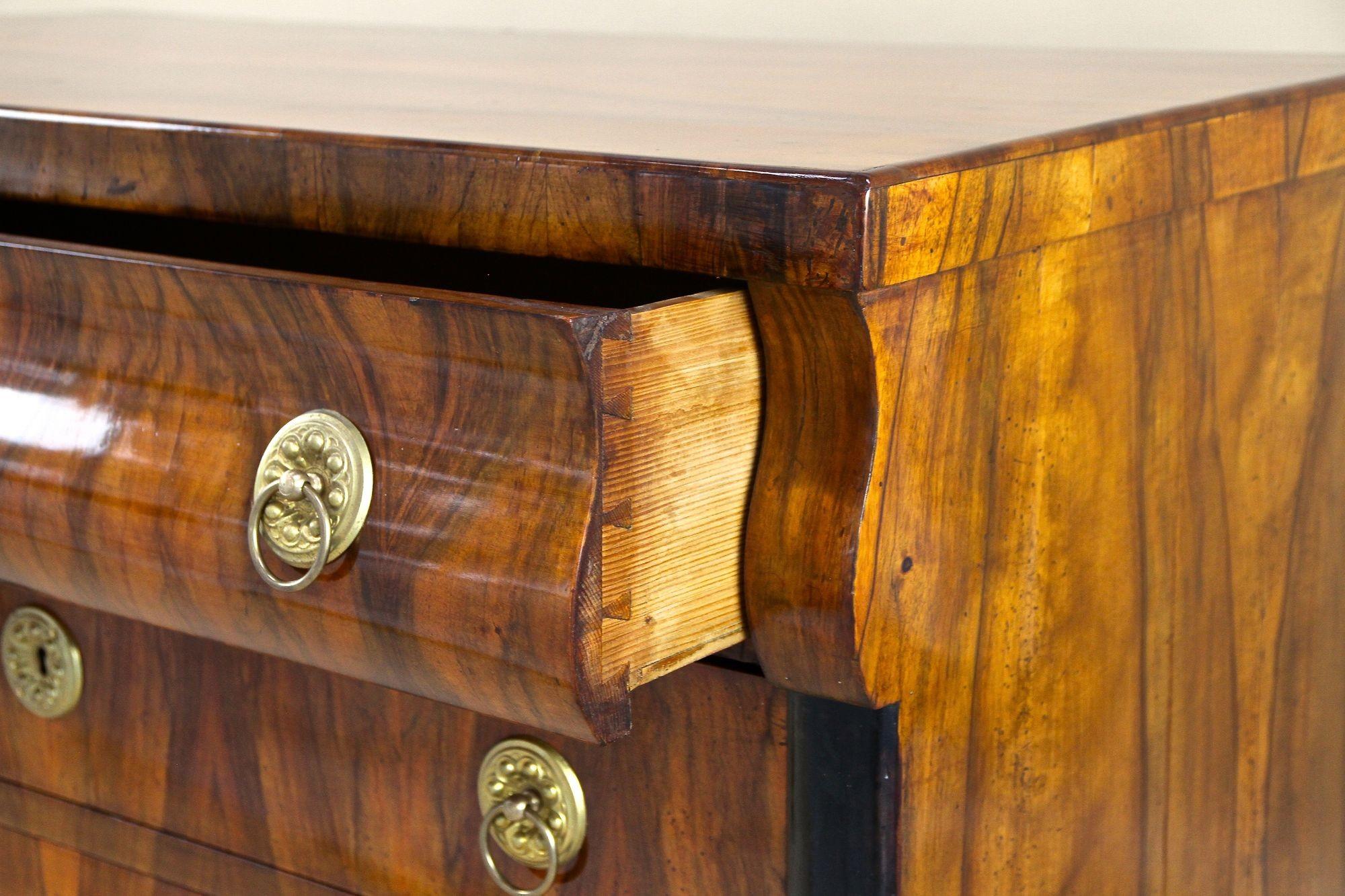 19th Century Biedermeier Chest of Drawers/ Commmode, Hand-Polished, AT ca. 1825 For Sale 6