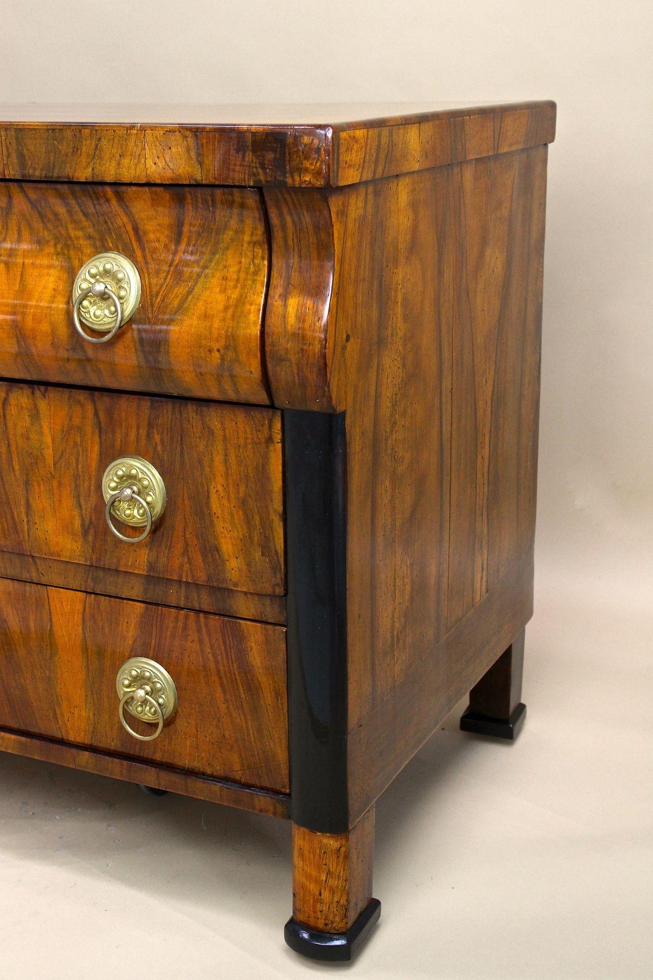 19th Century Biedermeier Chest of Drawers/ Commmode, Hand-Polished, AT ca. 1825 For Sale 11