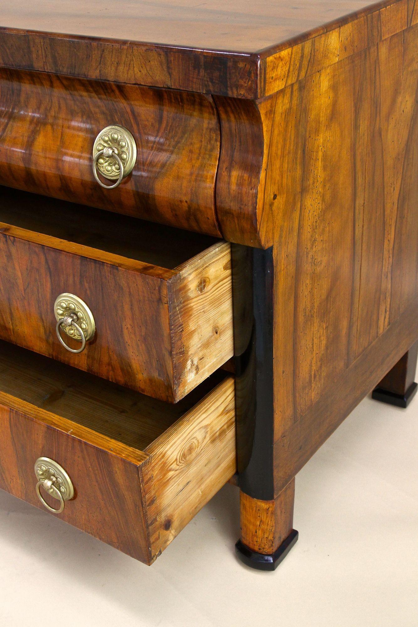 19th Century Biedermeier Chest of Drawers/ Commmode, Hand-Polished, AT ca. 1825 For Sale 2