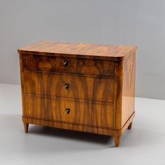 19th Century Biedermeier Chest of Drawers