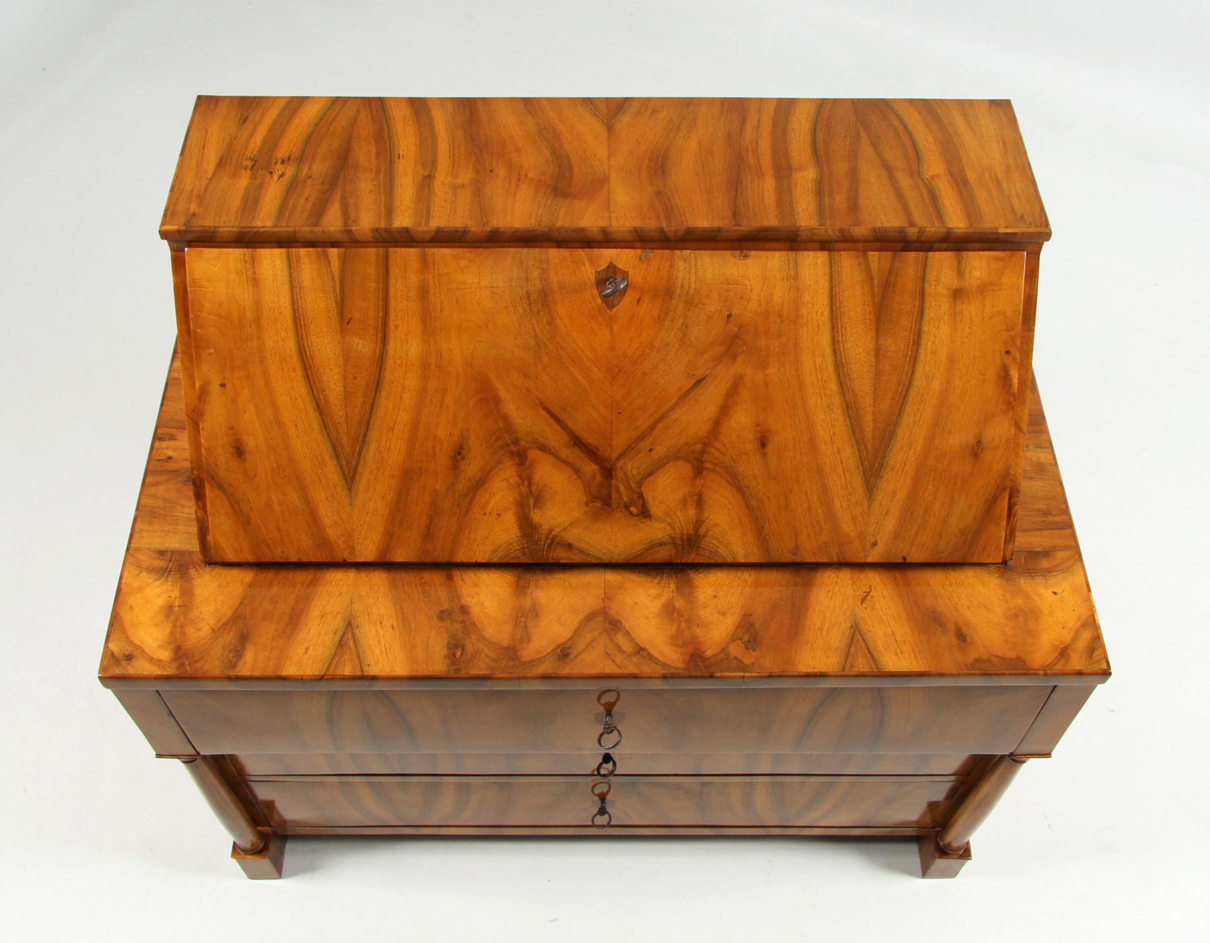 Biedermeier-Kommode des 19. Jahrhunderts mit Sekretär-Kommode, um 1830 im Angebot 2