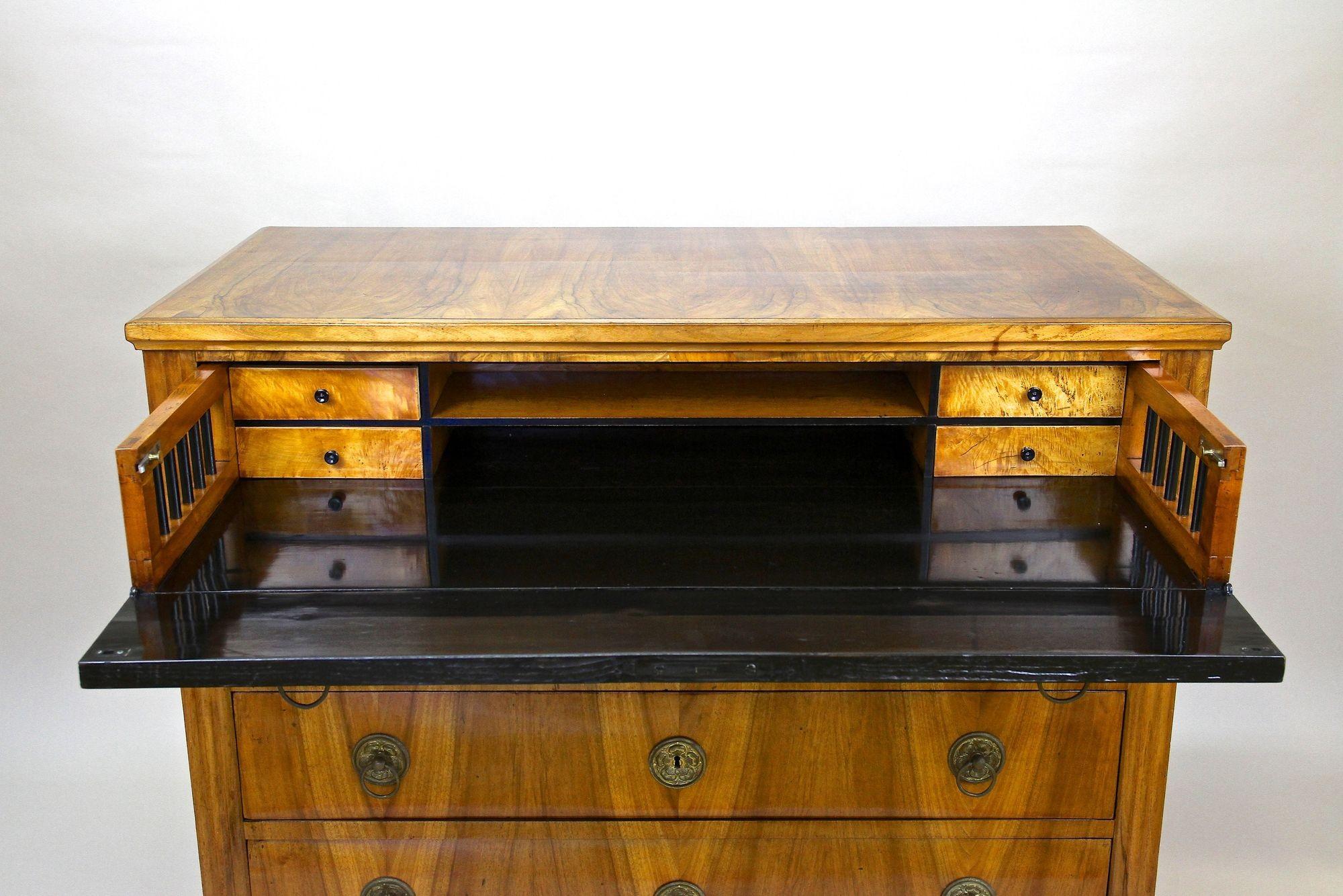 19th Century Biedermeier Chest Of Drawers/ Writing Commode, Austria ca. 1830 For Sale 2