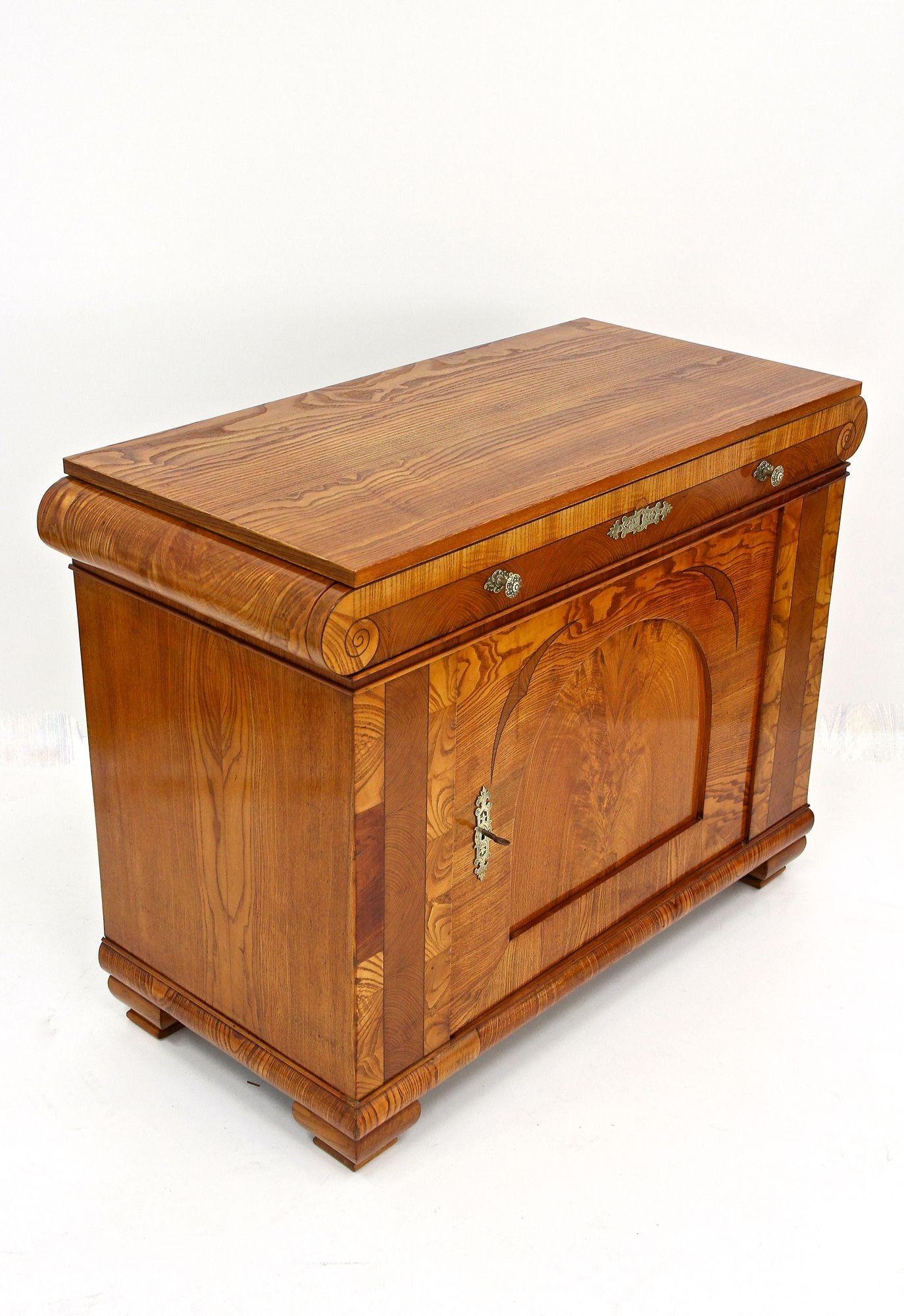 Comò Biedermeier del 19° secolo, legno di frassino - Bohemia circa 1860 in vendita 9