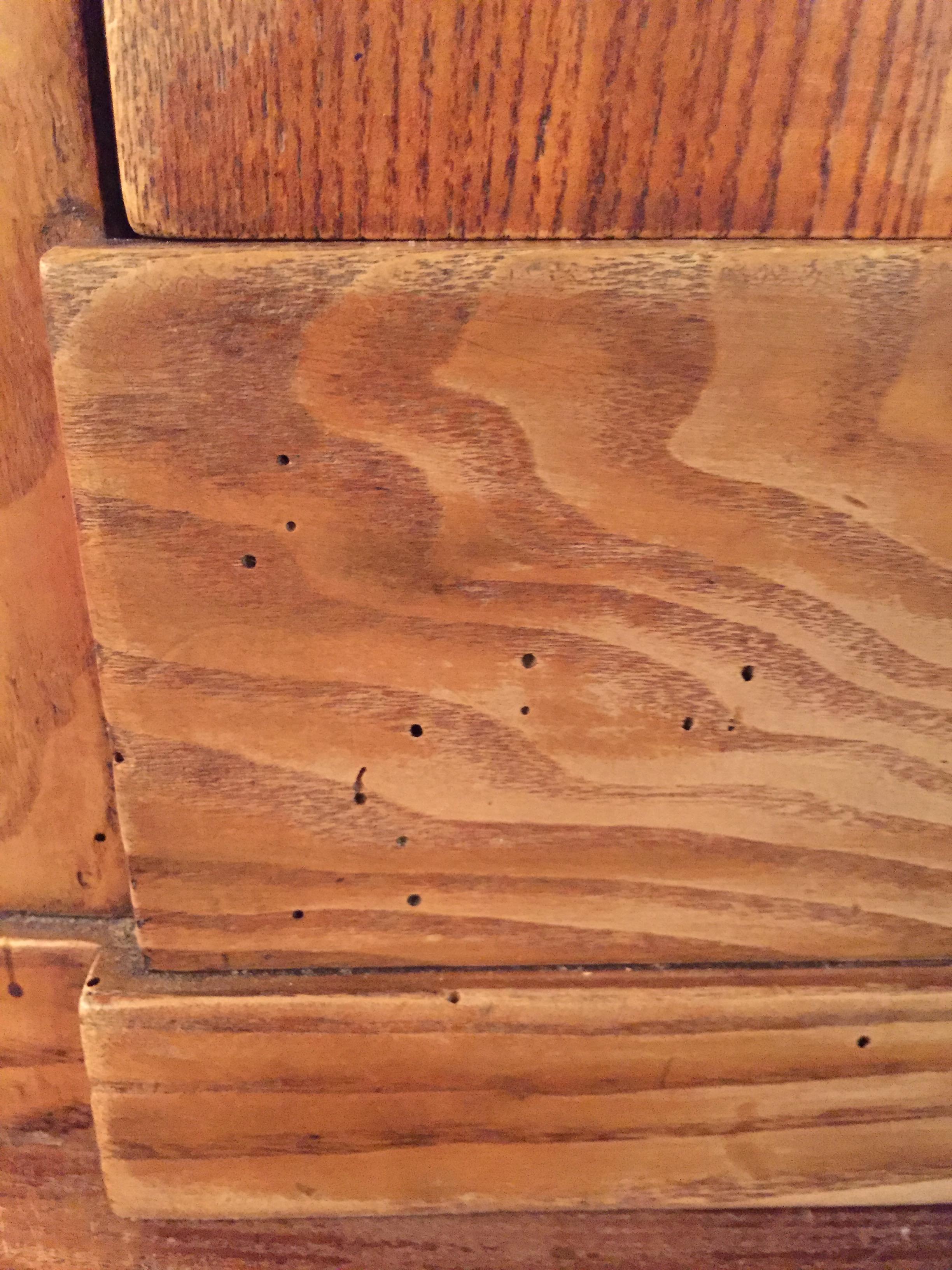 Credenza angolare Biedermeier del XIX secolo in frassino Molto alta in vendita 7