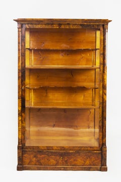 19th Century Biedermeier Czech Display Cabinet, Shellac Polish, Walnut