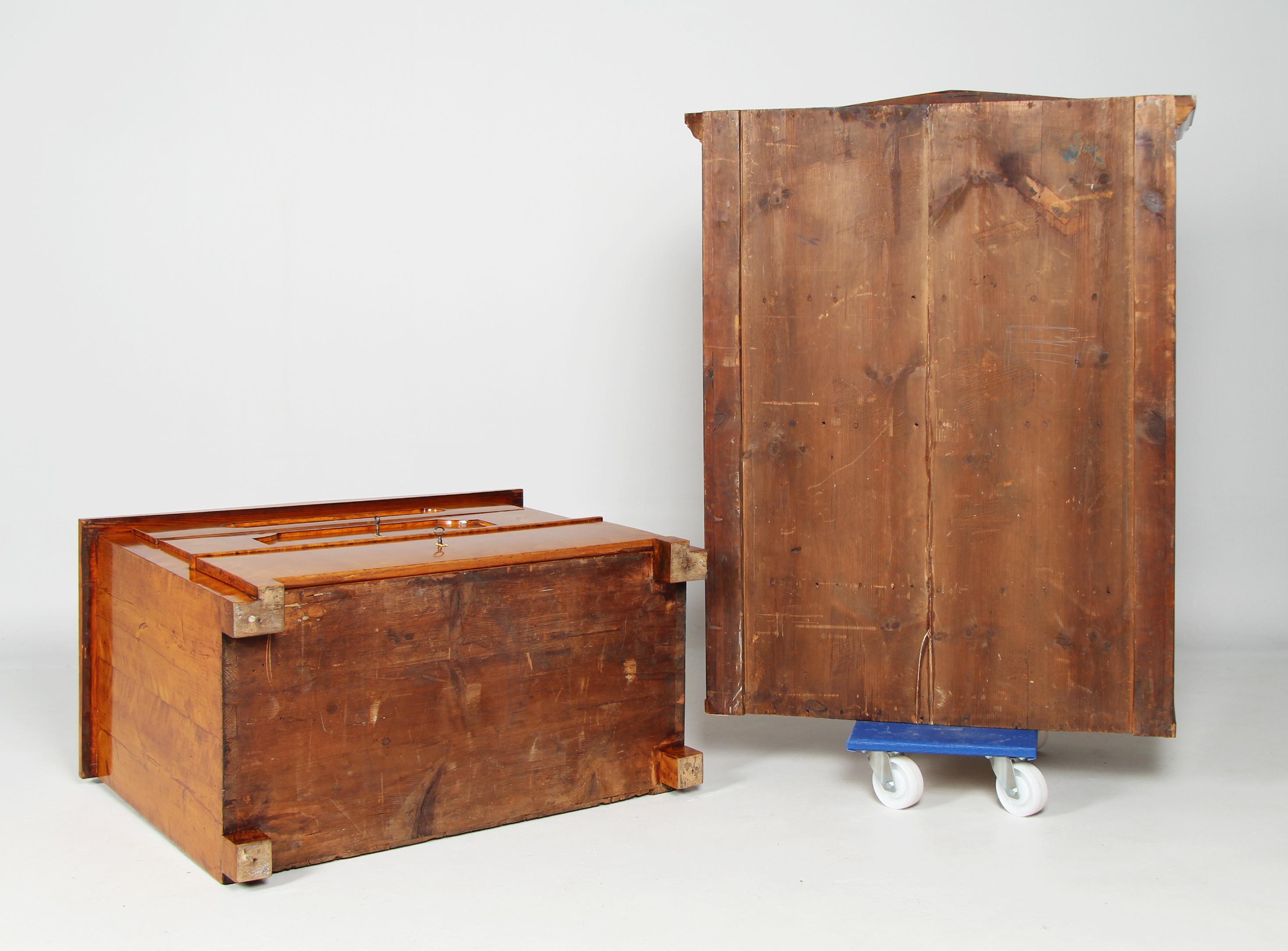 19th Century Biedermeier Display Cabinet, Bookcase, Birch, Germany circa 1835 8