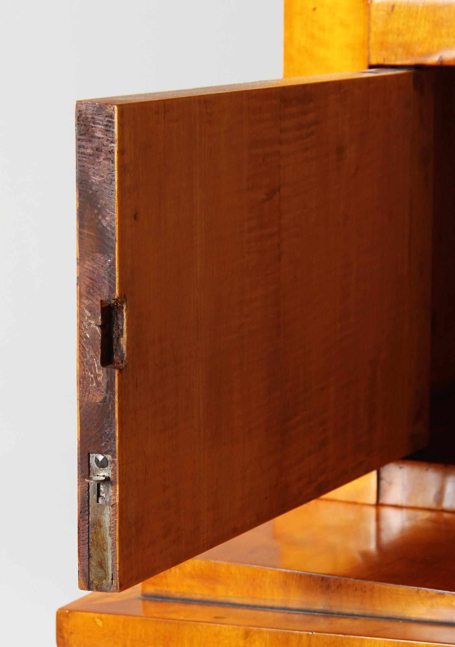 19th Century Biedermeier Display Cabinet, Bookcase, Birch, Germany circa 1835 1