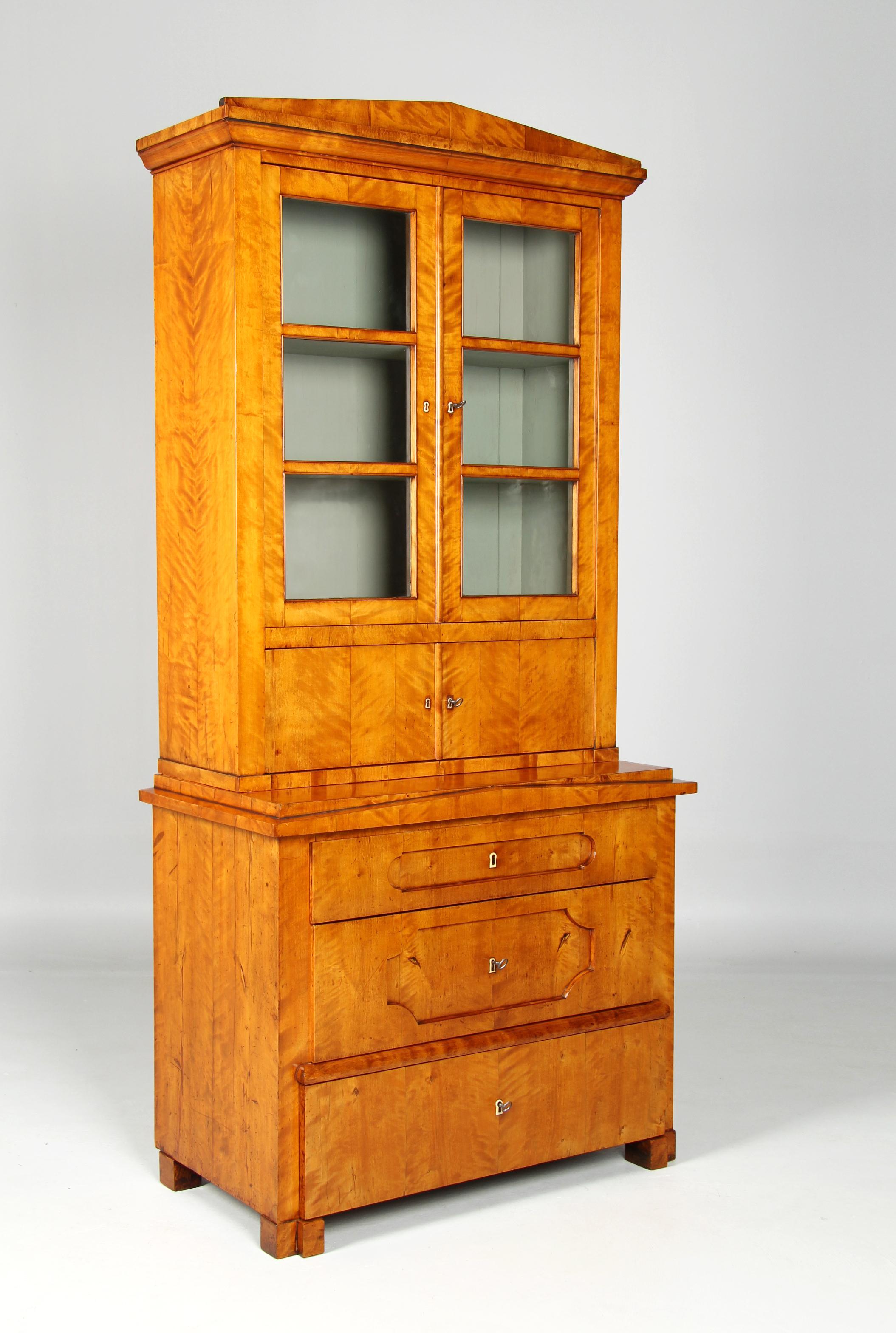 19th Century Biedermeier Display Cabinet, Bookcase, Birch, Germany circa 1835 2