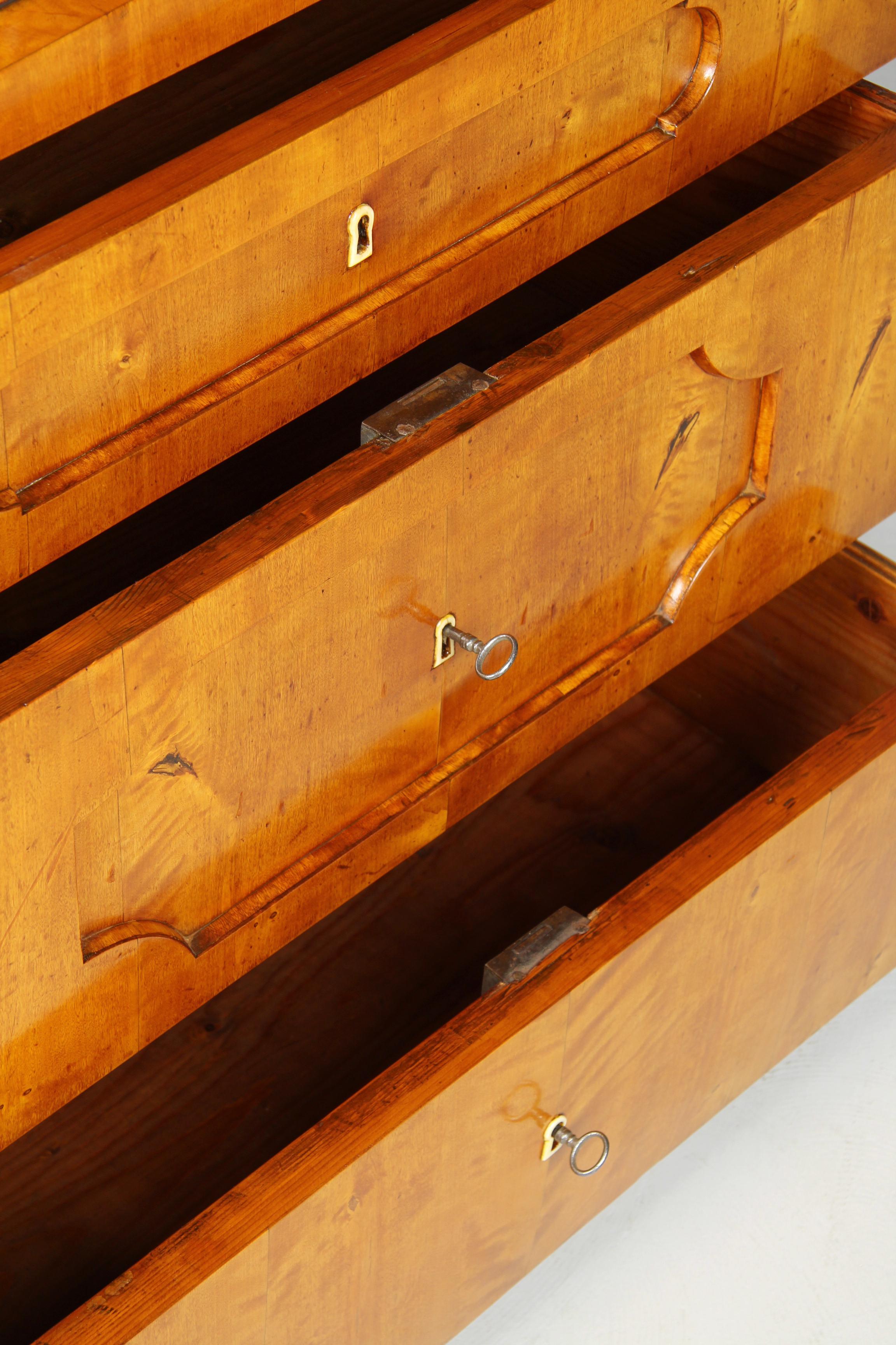 19th Century Biedermeier Display Cabinet, Bookcase, Birch, Germany circa 1835 4