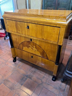 19th Century Biedermeier Elm Ebony Chest of Drawers Secretaire Wrting