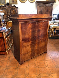 19th Century Biedermeier Mahogany Danish Conical Secretaire in Temple Shape