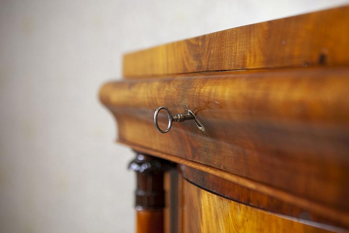 19th-Century Biedermeier Mahogany Wood and Veneer Linen Press For Sale 5