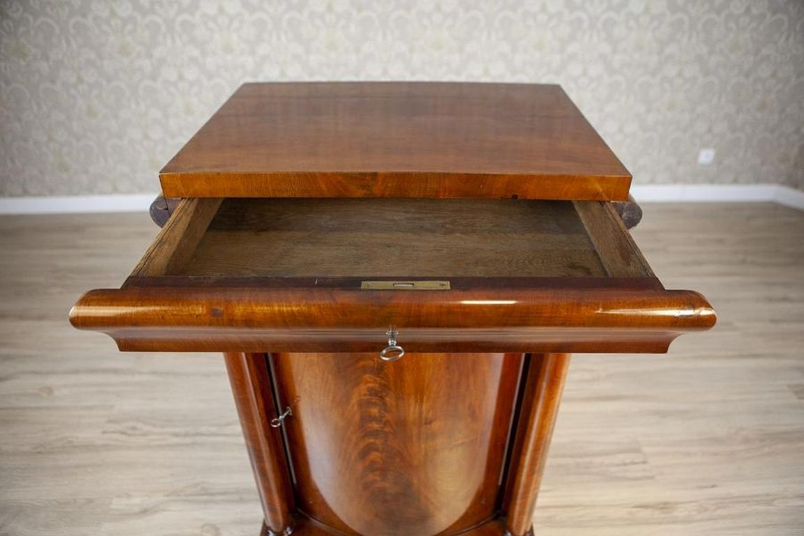 Pressa per biancheria in legno e impiallacciatura di mogano Biedermeier del XIX secolo in vendita 2