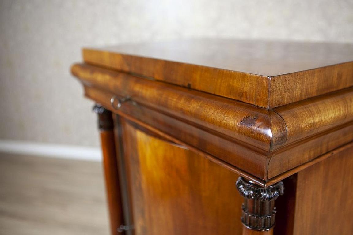 19th-Century Biedermeier Mahogany Wood and Veneer Linen Press For Sale 4