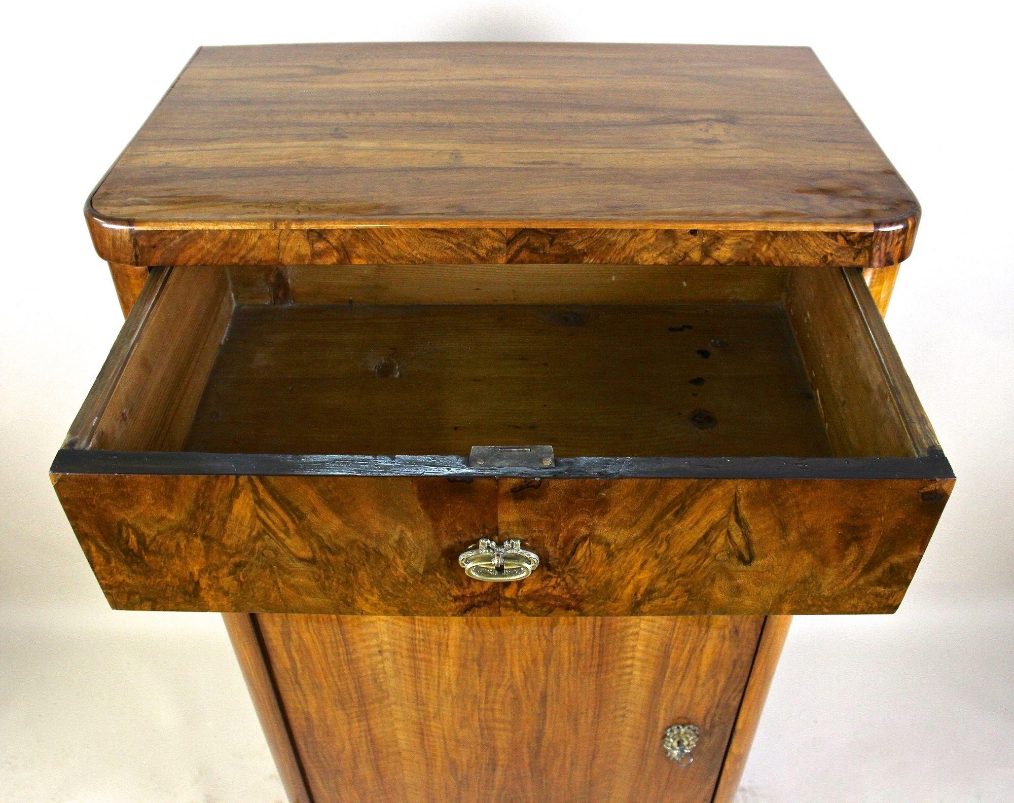 19th Century Biedermeier Nutwood Cabinet with Drawer, Austria, circa 1850 For Sale 4