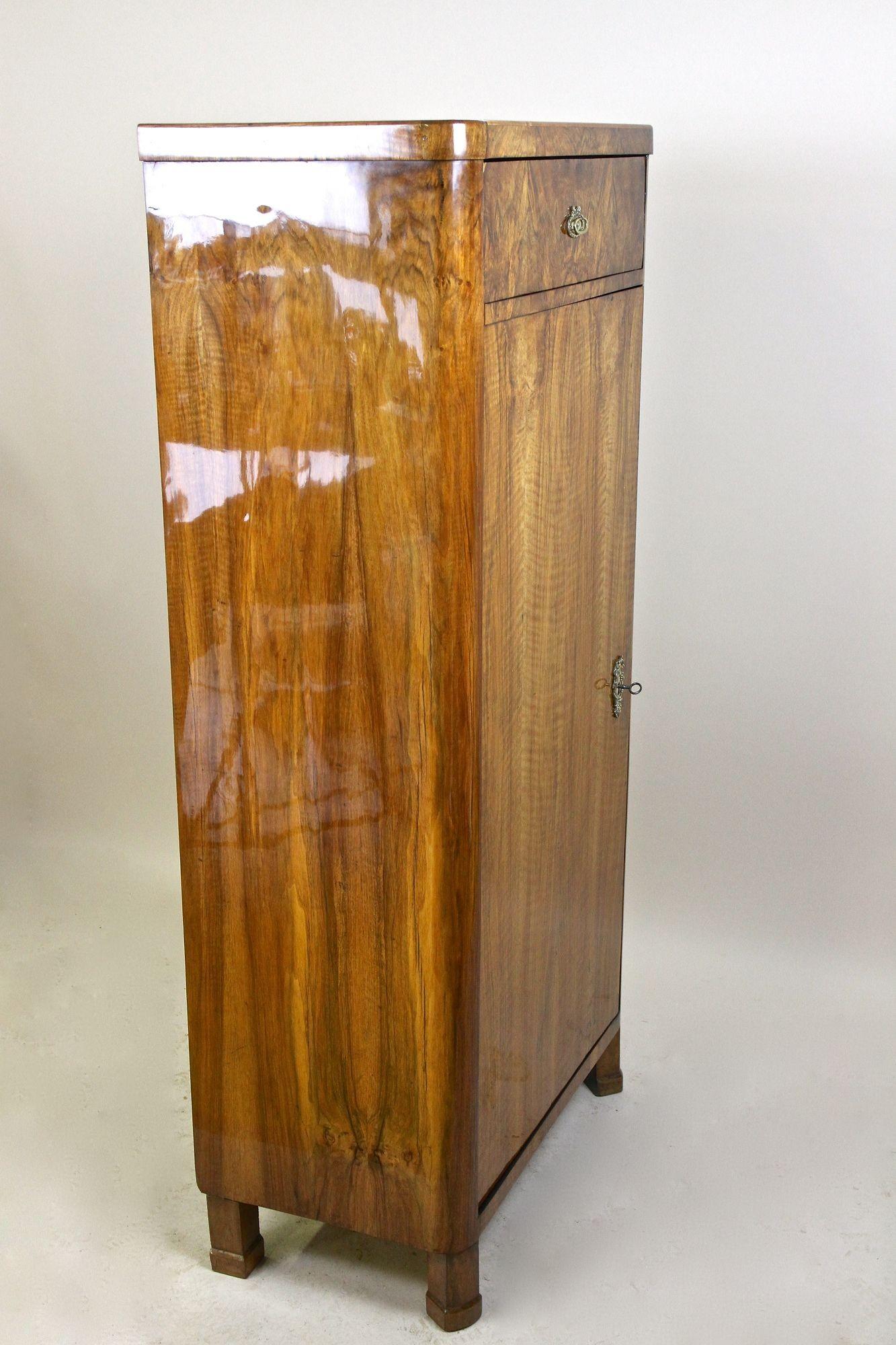 19th Century Biedermeier Nutwood Cabinet with Drawer, Austria, circa 1850 For Sale 10