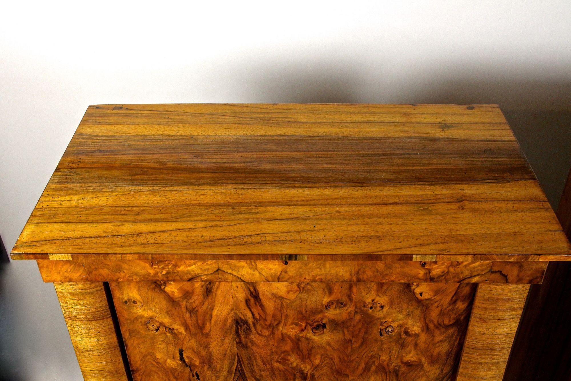 Armadi in legno di noce Biedermeier del XIX secolo, Austria, 1830 circa in vendita 12