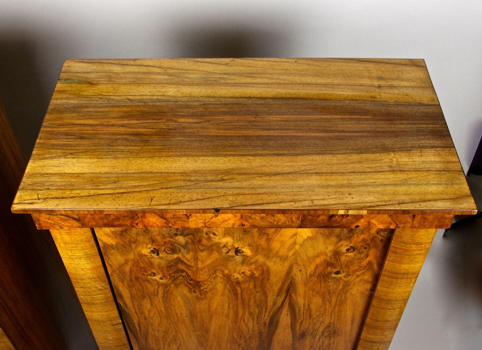 Armadi in legno di noce Biedermeier del XIX secolo, Austria, 1830 circa in vendita 13