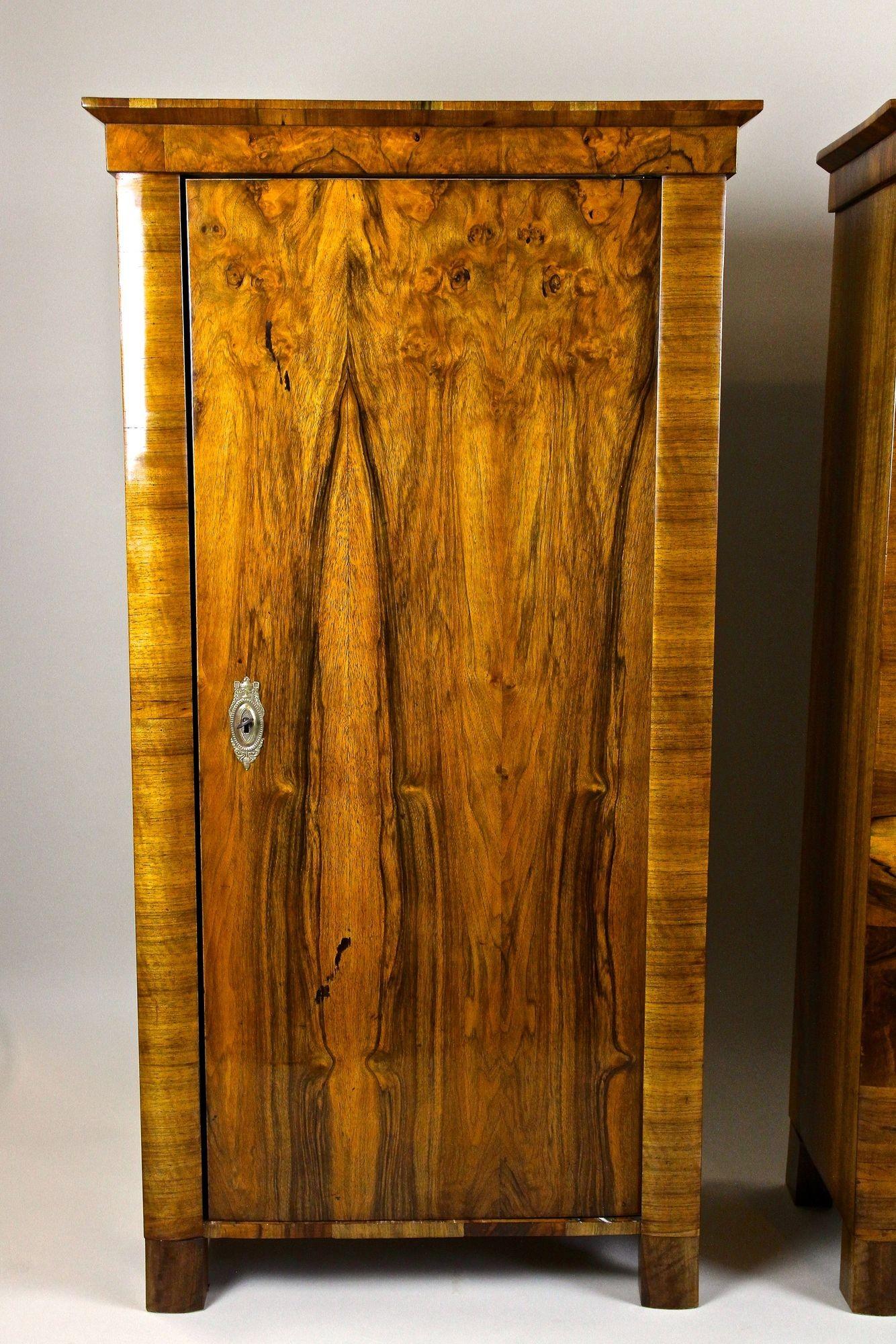 Austriaco Armadi in legno di noce Biedermeier del XIX secolo, Austria, 1830 circa in vendita