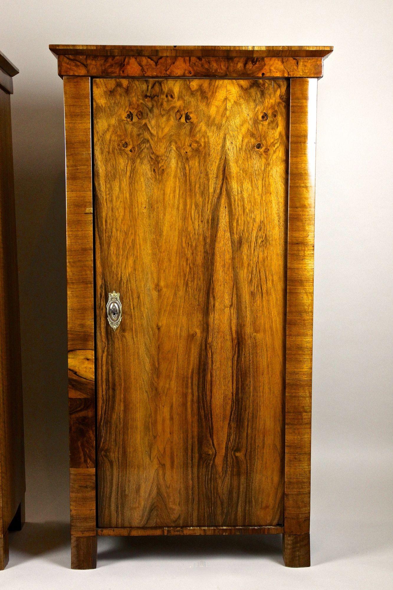 Armadi in legno di noce Biedermeier del XIX secolo, Austria, 1830 circa in vendita 2