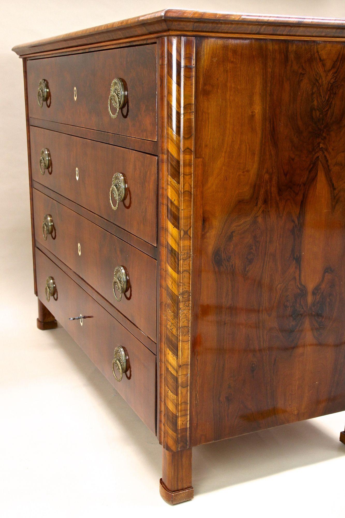 19th Century Biedermeier Nutwood Chest of Drawers/ Commode, Austria ca. 1840 For Sale 8
