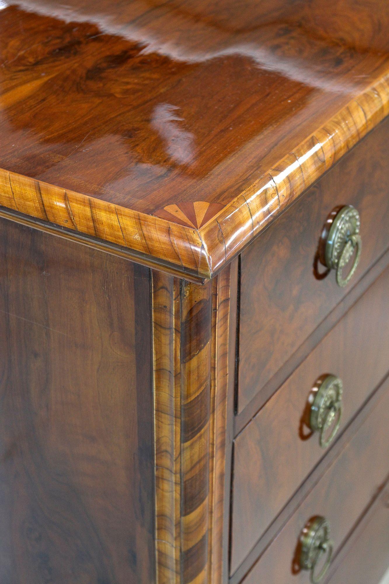 19th Century Biedermeier Nutwood Chest of Drawers/ Commode, Austria ca. 1840 For Sale 13