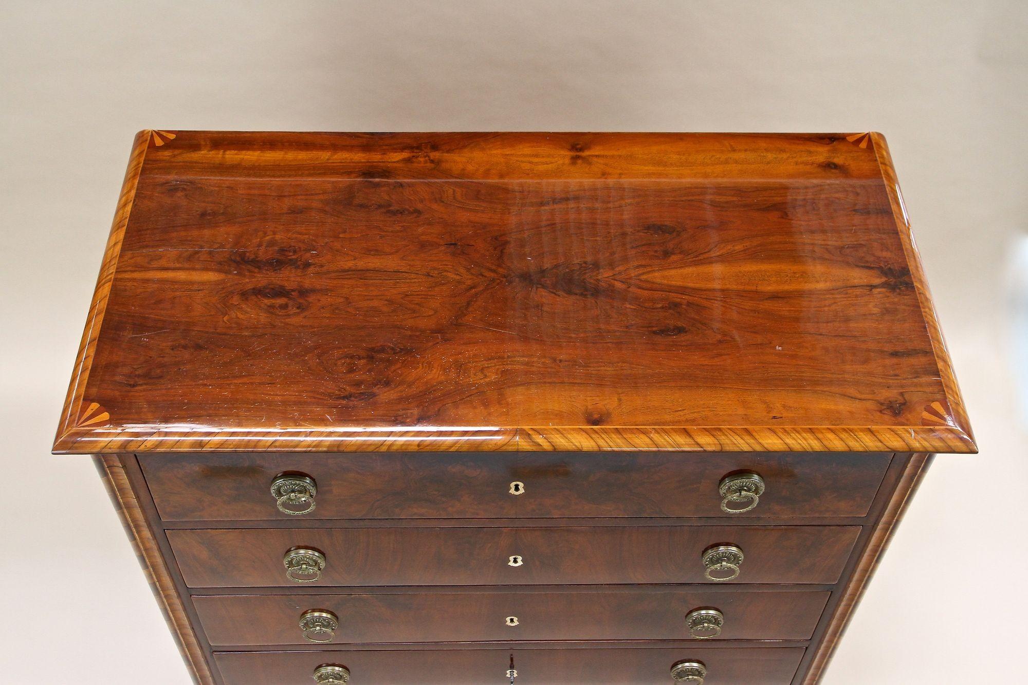 19th Century Biedermeier Nutwood Chest of Drawers/ Commode, Austria ca. 1840 For Sale 3